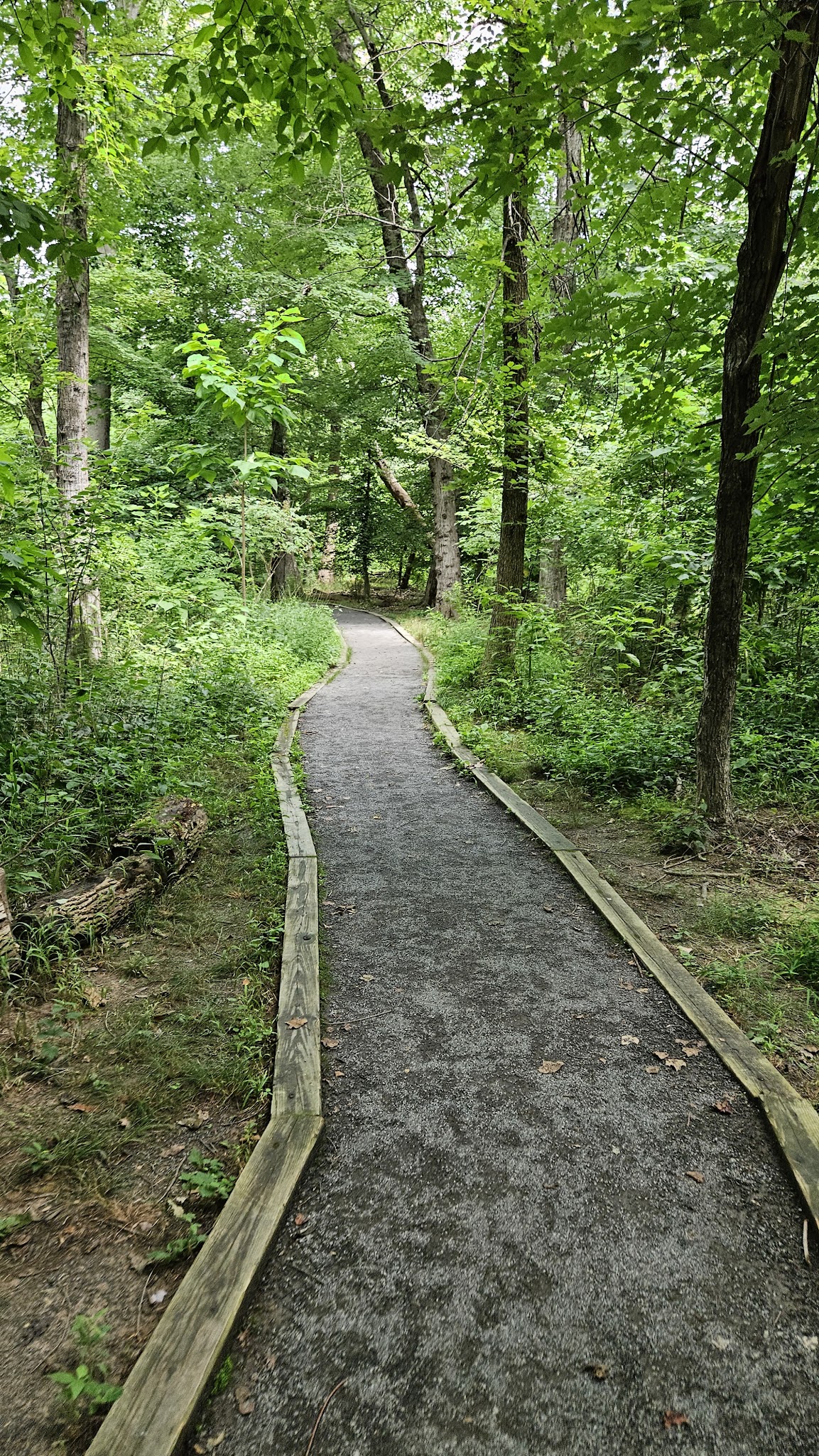 Isaac Crossman Park - Falls Church, VA
