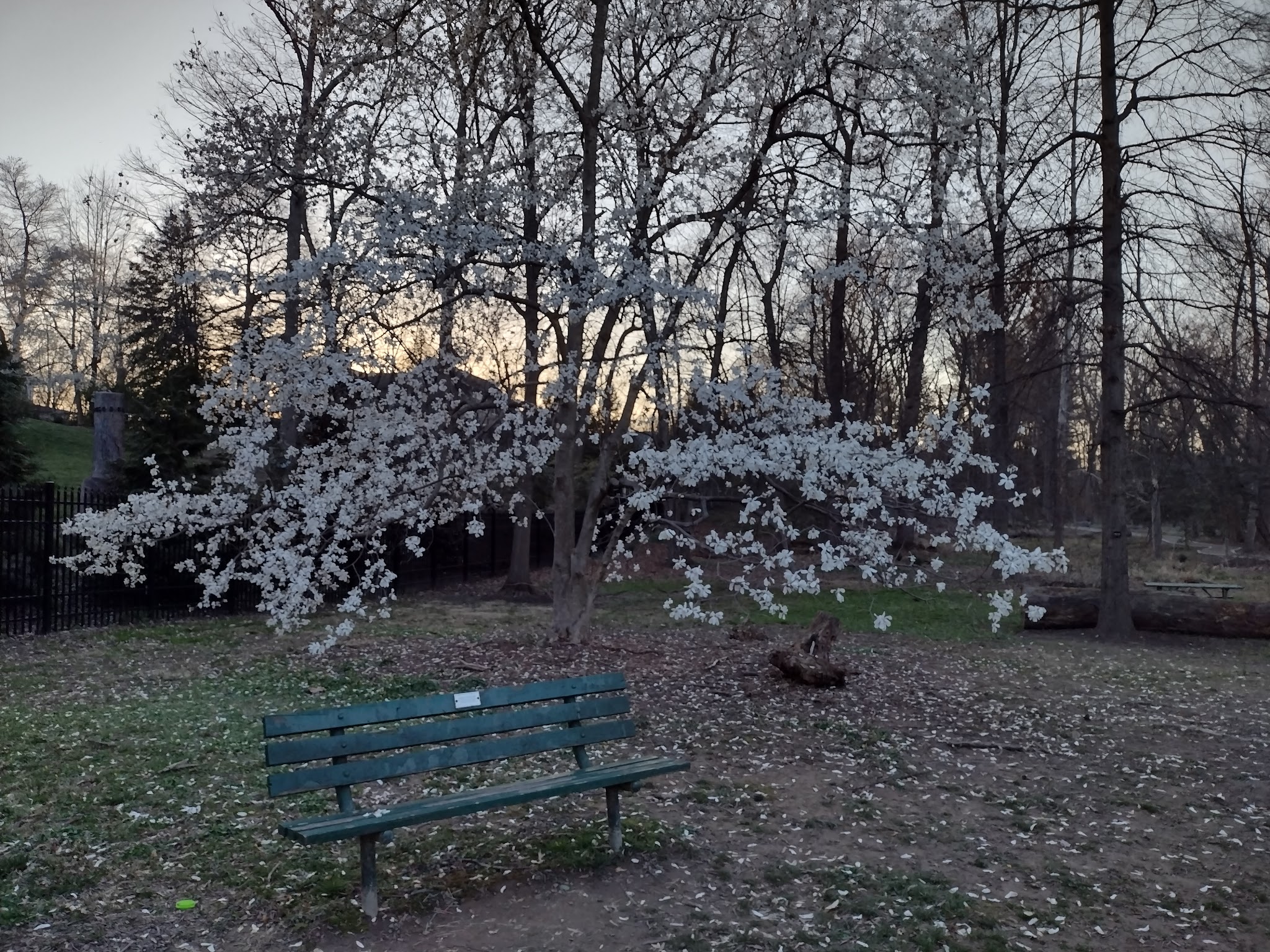 Isaac Crossman Park - Falls Church, VA