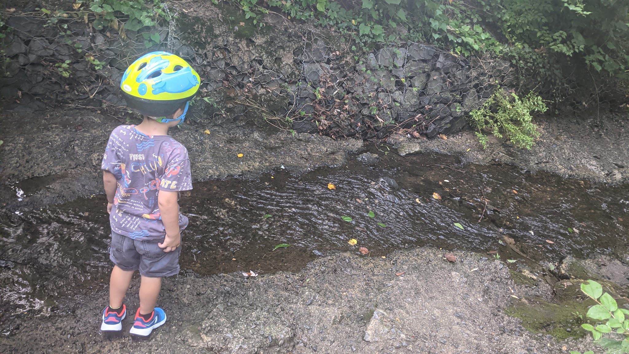 John Mastenbrook-Greenway Downs Park - Falls Church, VA