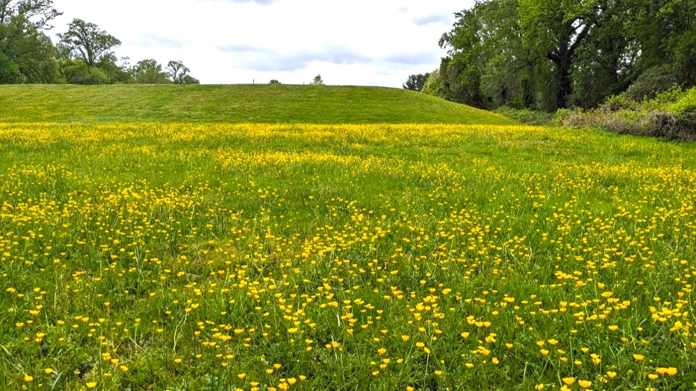 Lemon Road Park - Falls Church, VA