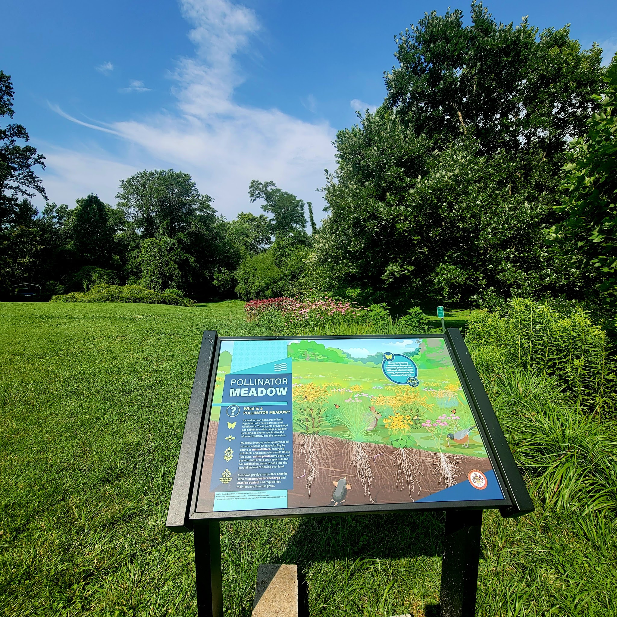 Lemon Road Park - Falls Church, VA