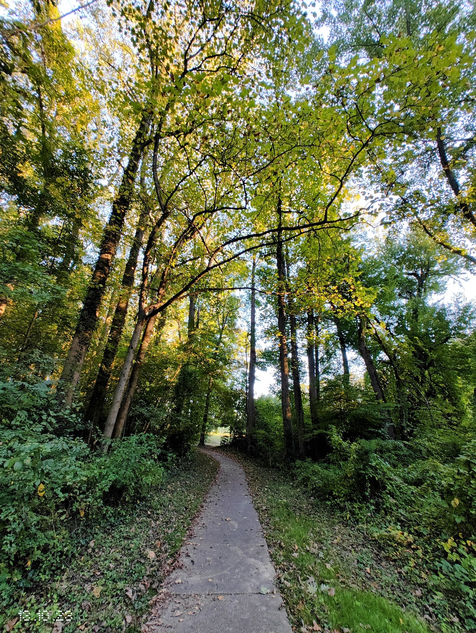 Lemon Road Park - Falls Church, VA