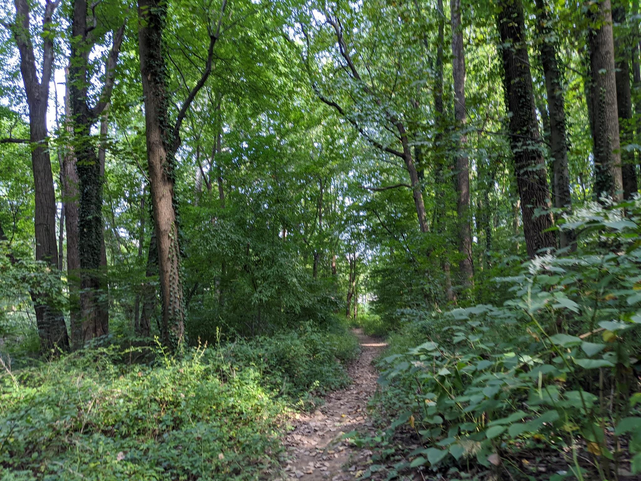 Olney Park - Falls Church, VA