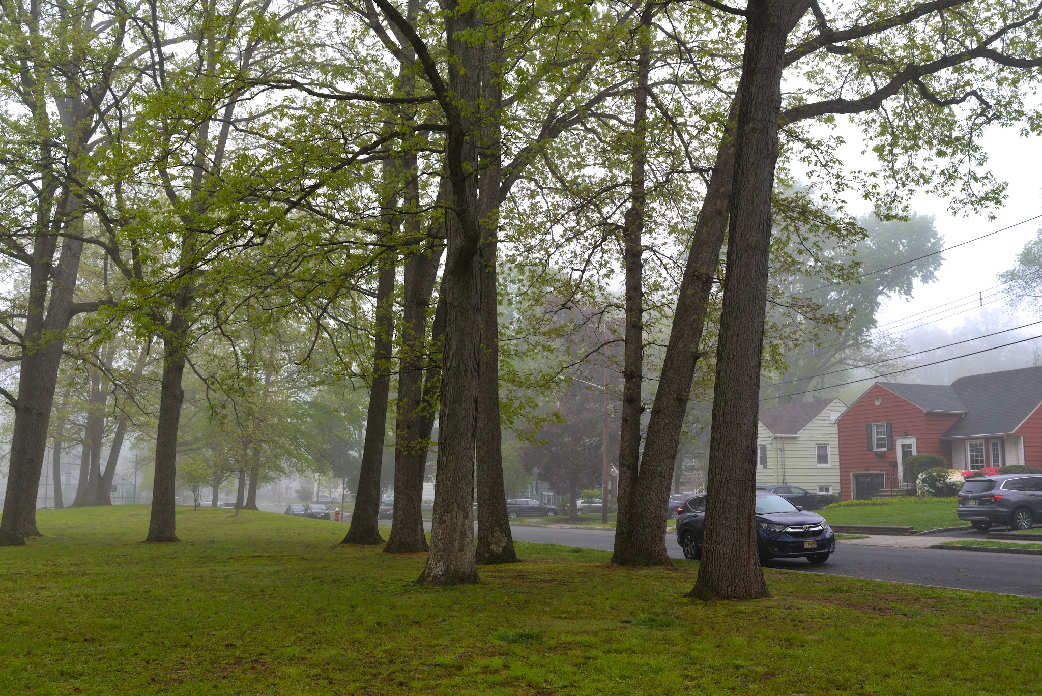 La Grande Park - Fanwood, NJ