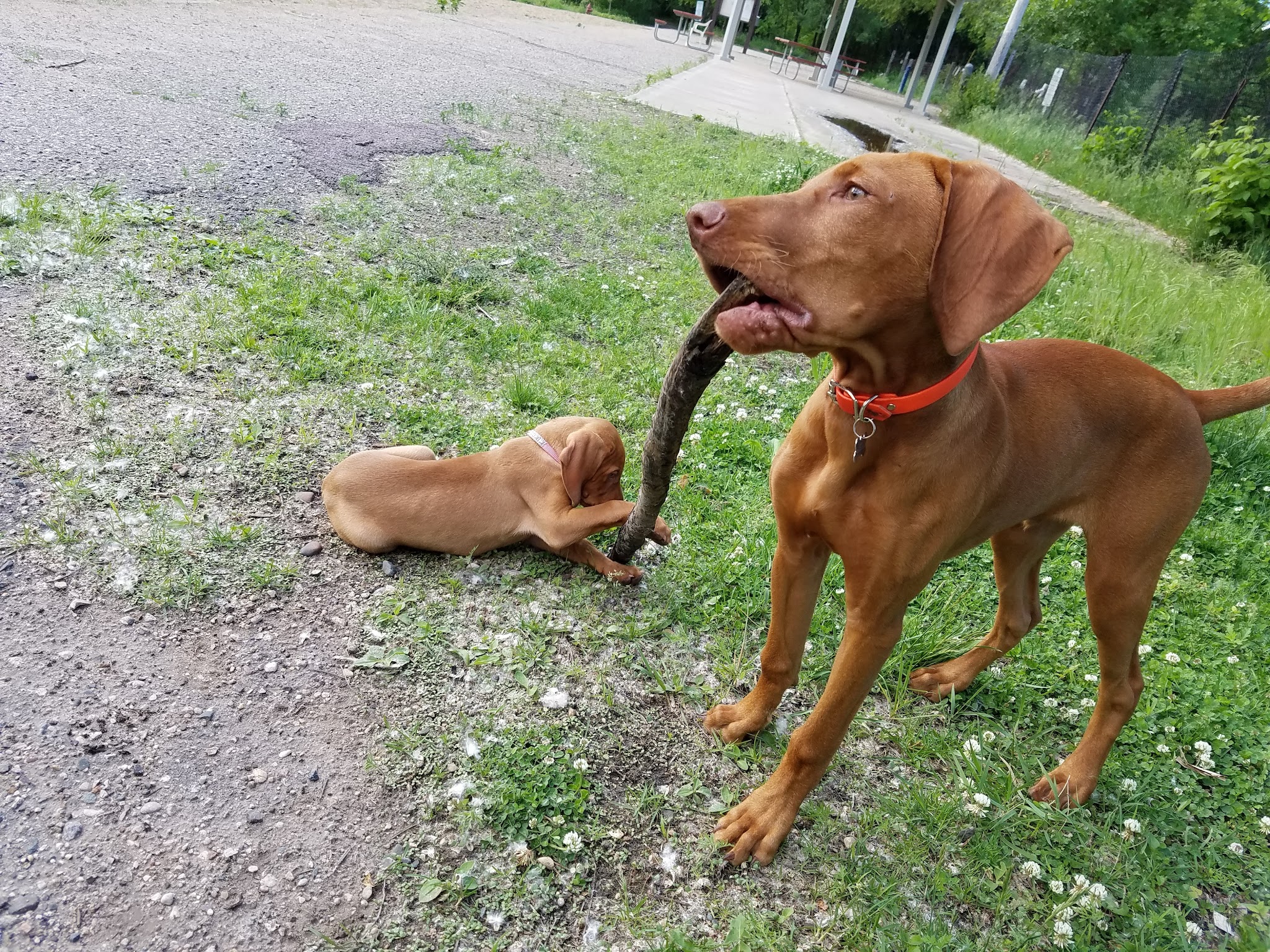 White Sands Park - Faribault, MN