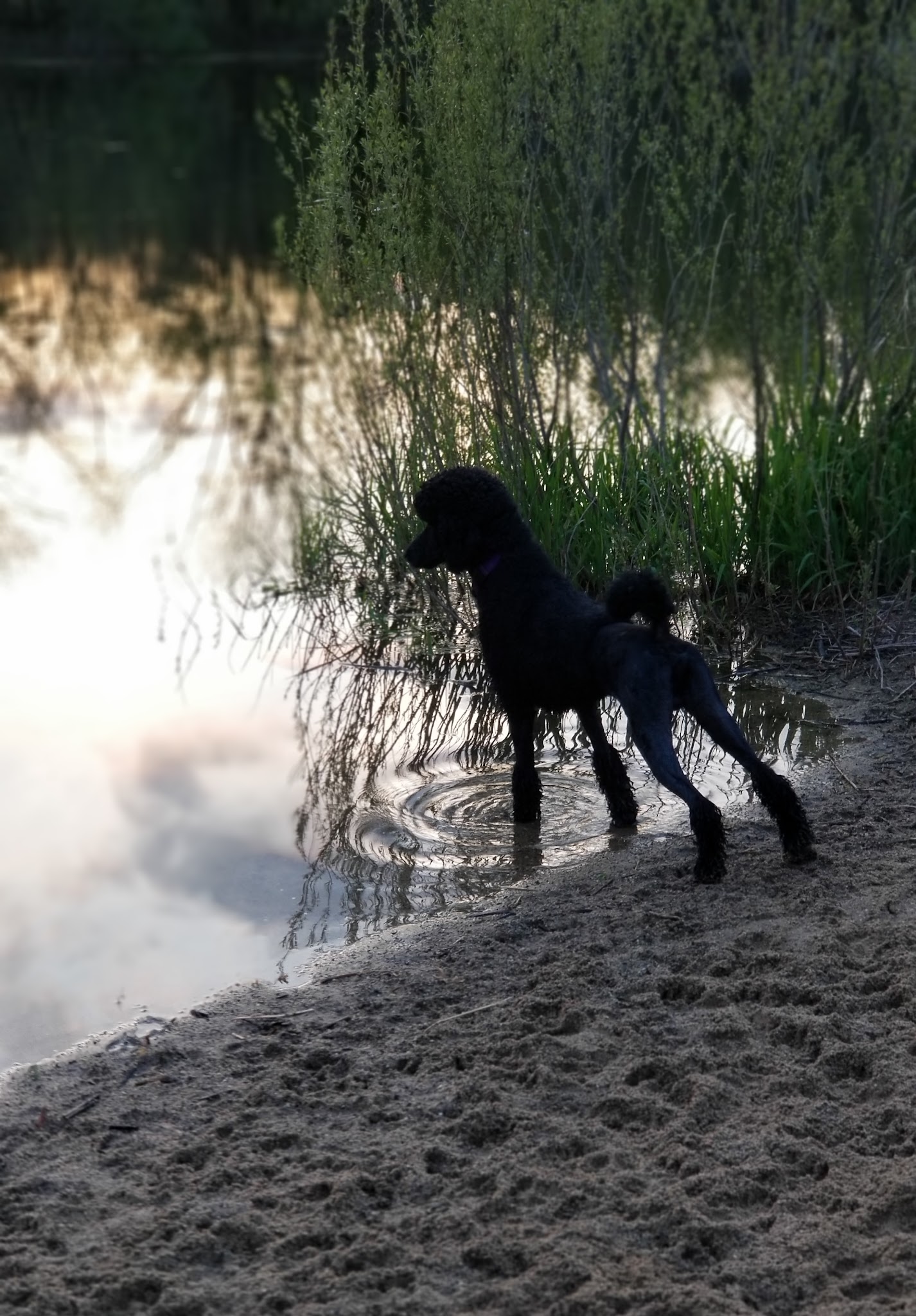 White Sands Park - Faribault, MN