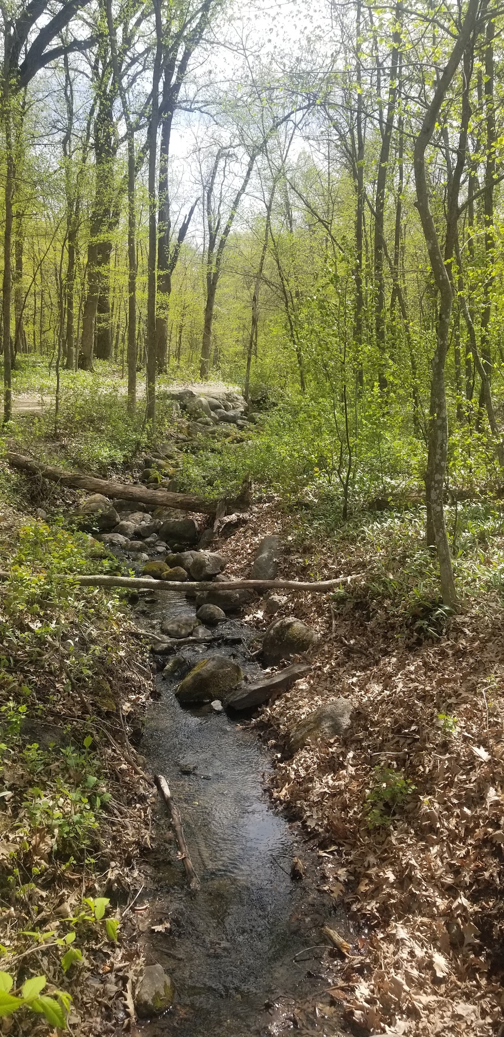White Sands Park - Faribault, MN