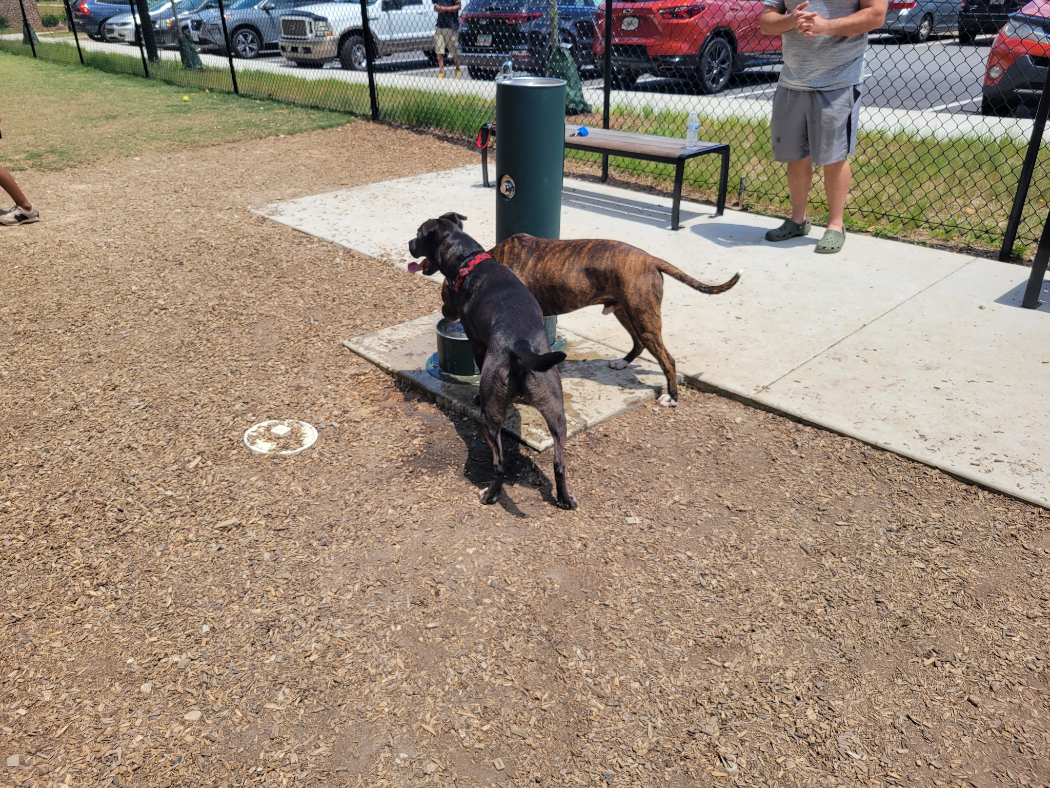 City of Fayetteville Dog Park - Fayetteville, GA