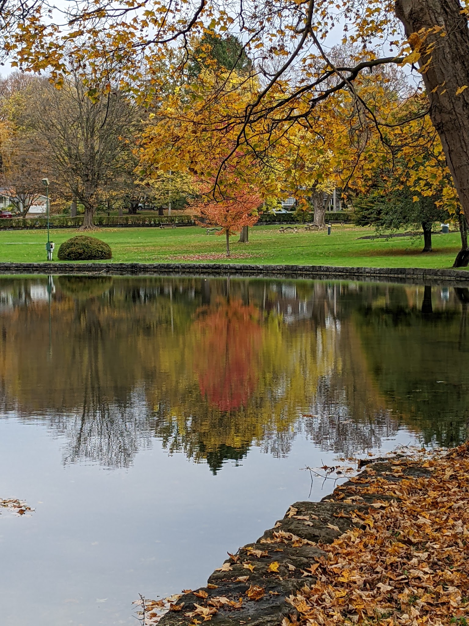 Beard Park - Fayetteville, NY