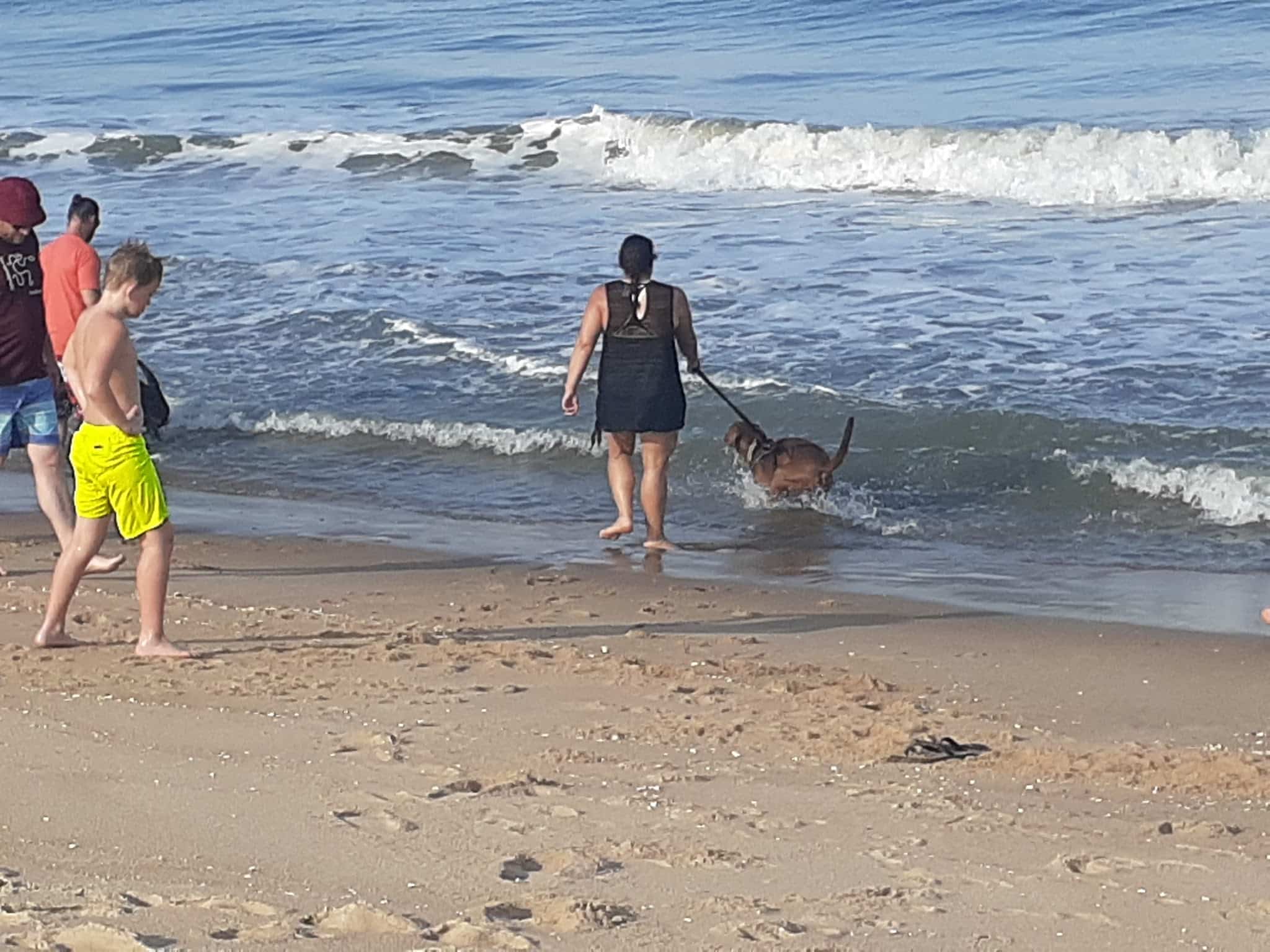 Fenwick Island State Park - Fenwick Island, DE