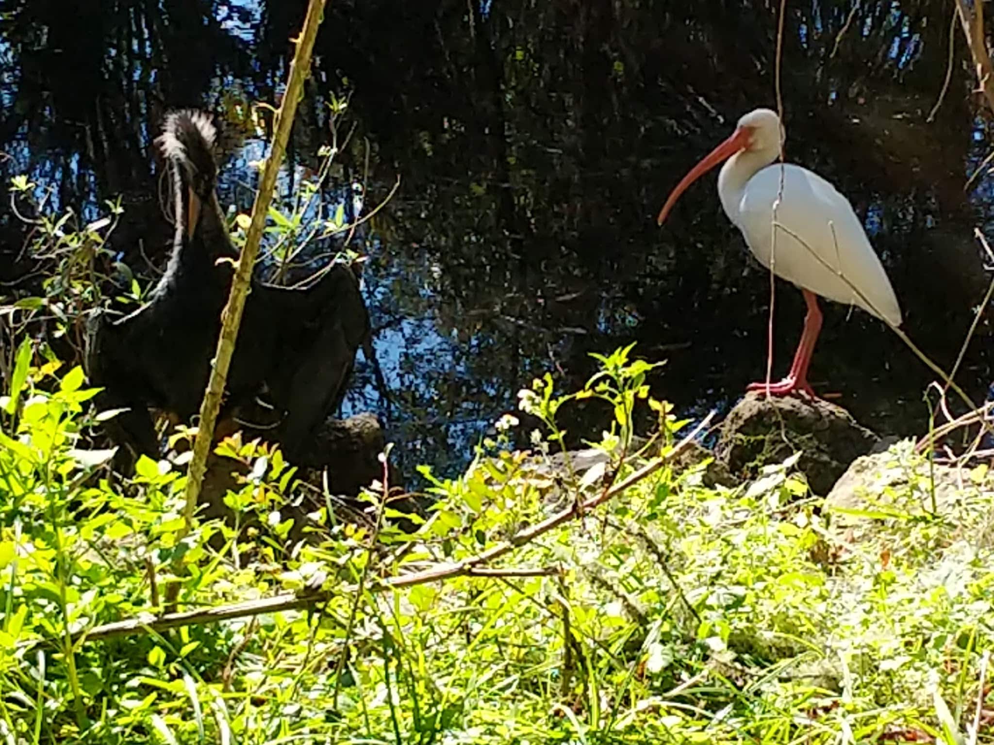 Egan's Creek Greenway Trail - Fernandina Beach, FL