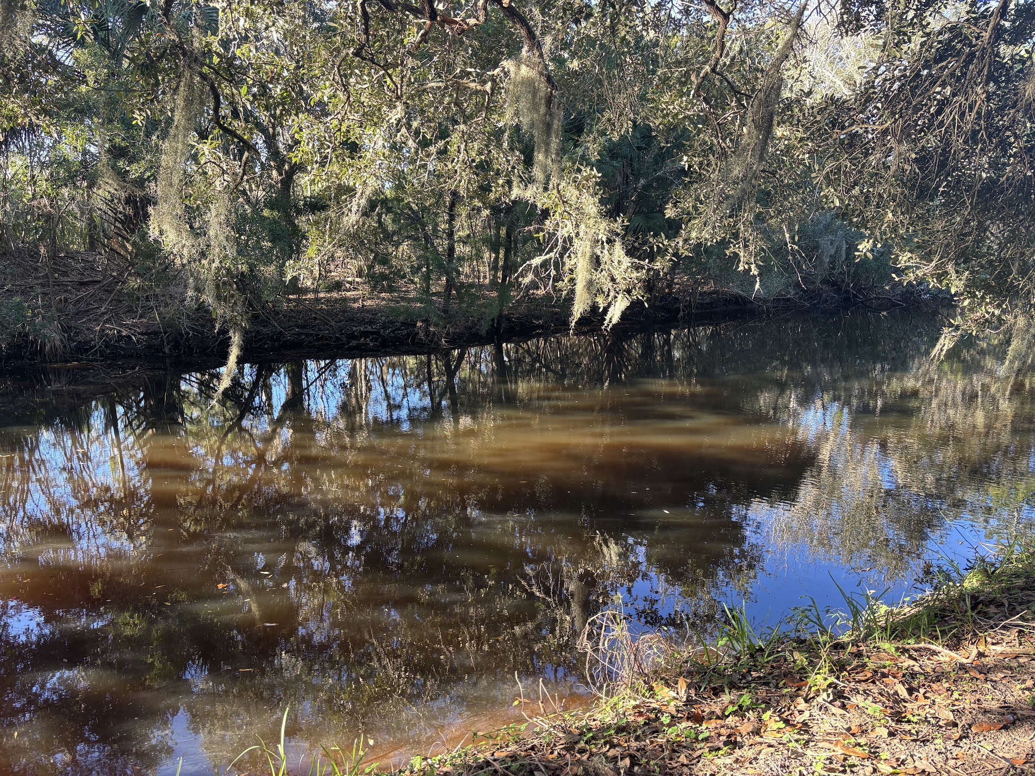 Egan's Creek Greenway Trail - Fernandina Beach, FL