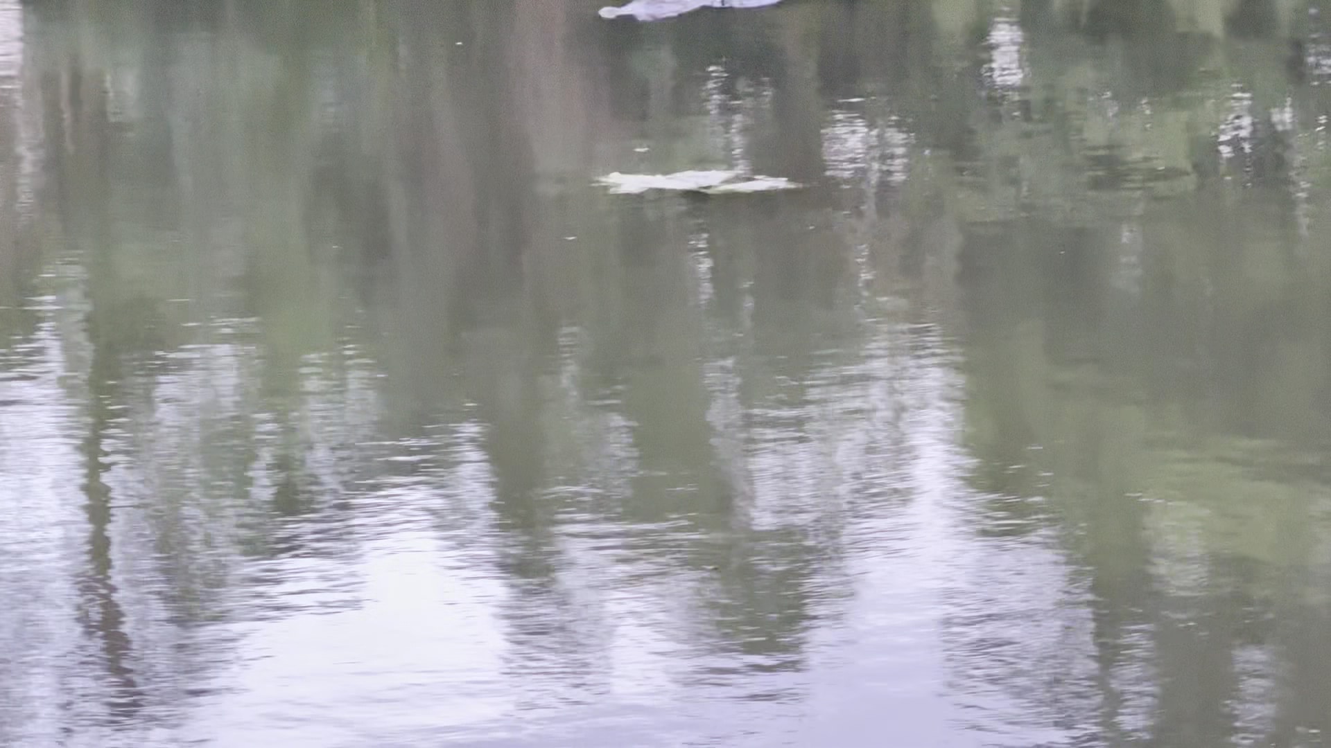 Egan's Creek Greenway Trail Parking - Fernandina Beach, FL