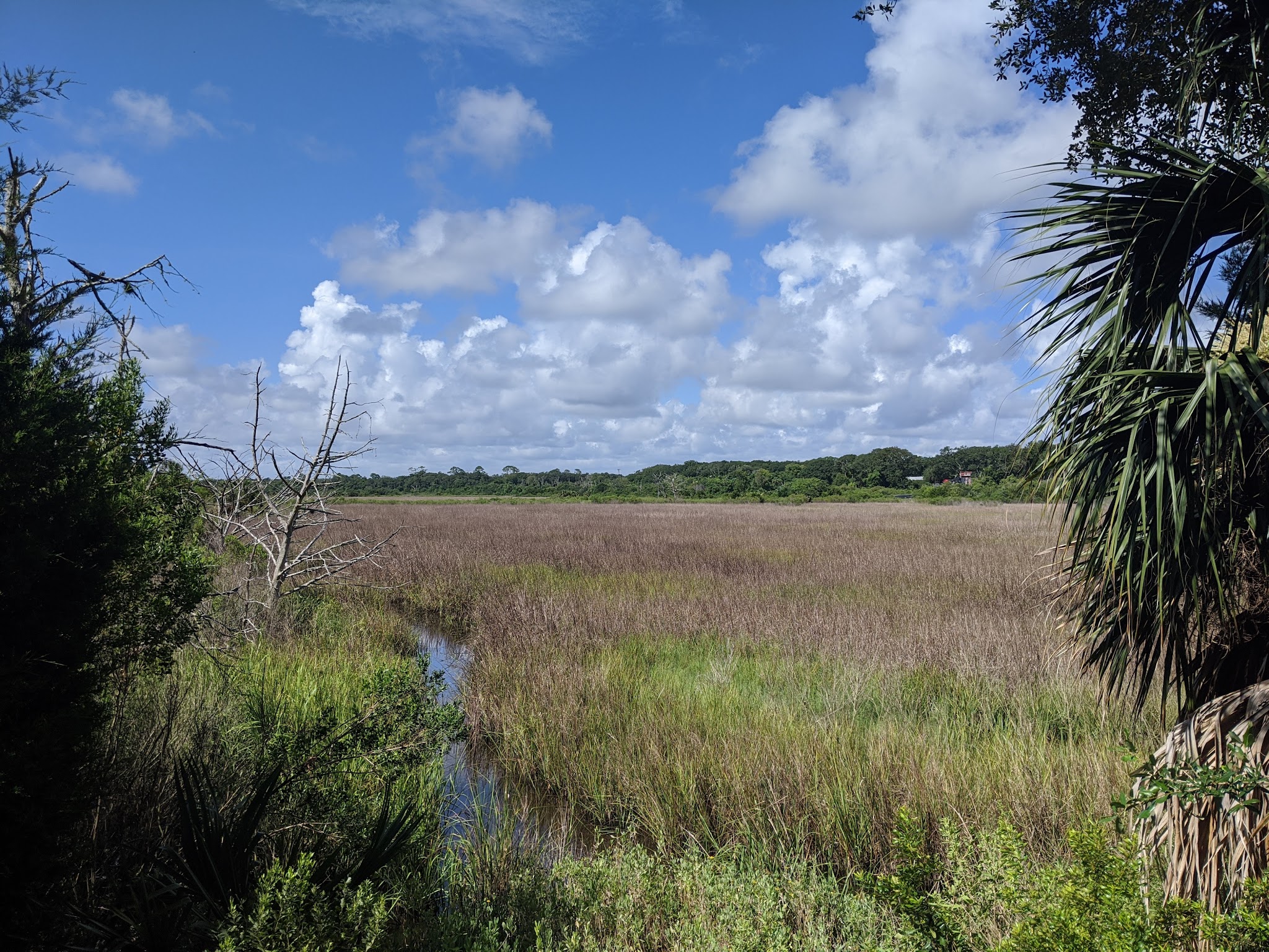 Egan's Creek Greenway Trail - Fernandina Beach, FL