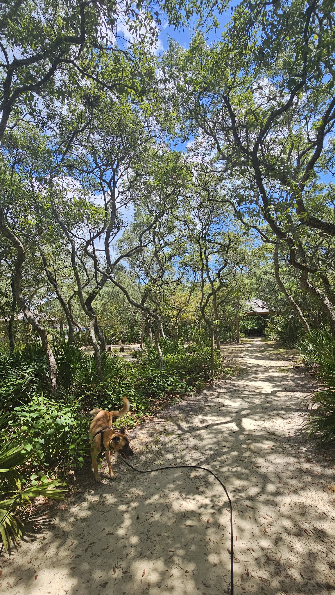 Simmons Road Park - Fernandina Beach, FL