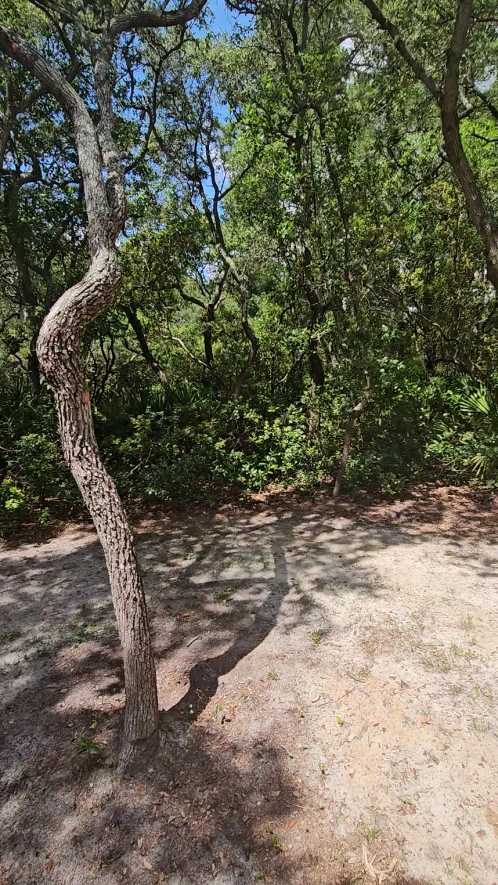 Simmons Road Park - Fernandina Beach, FL