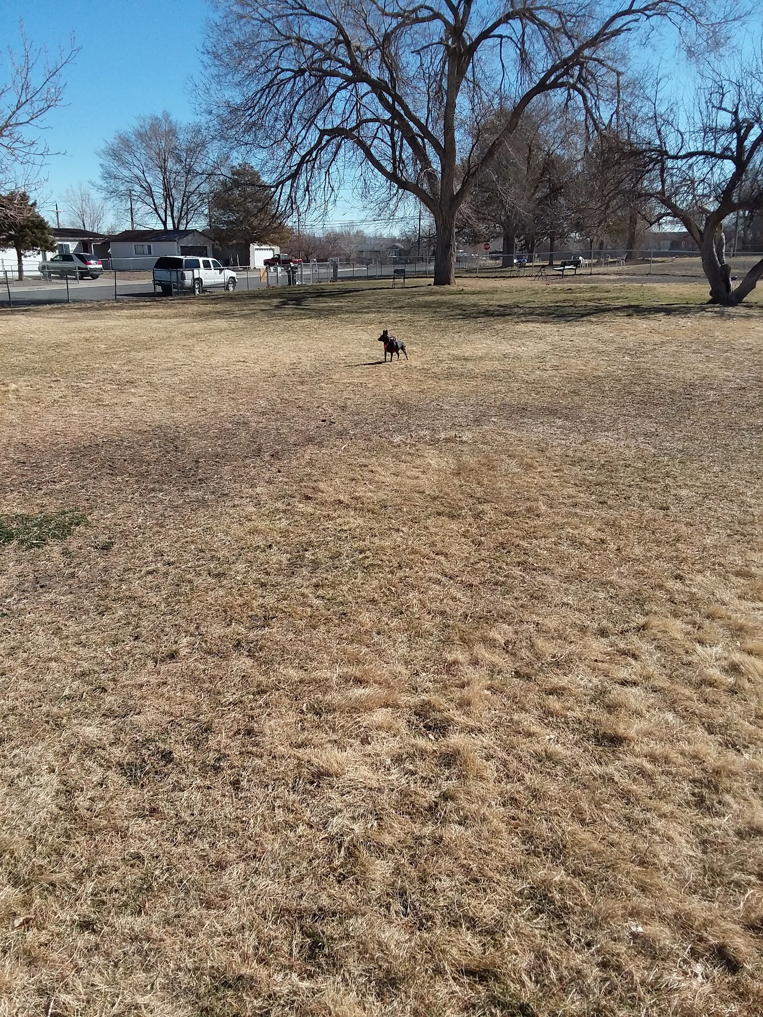 Green Valley Dog Park - Fernley, NV