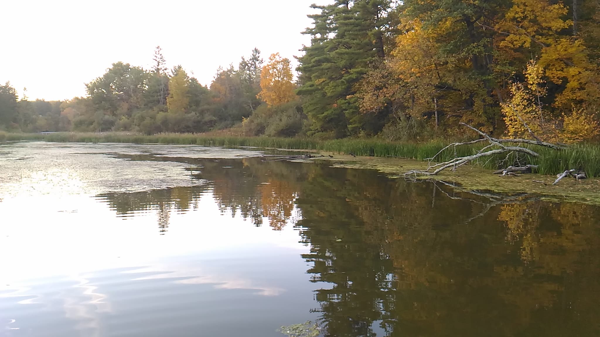 Feura Bush Town Park - Feura Bush, NY