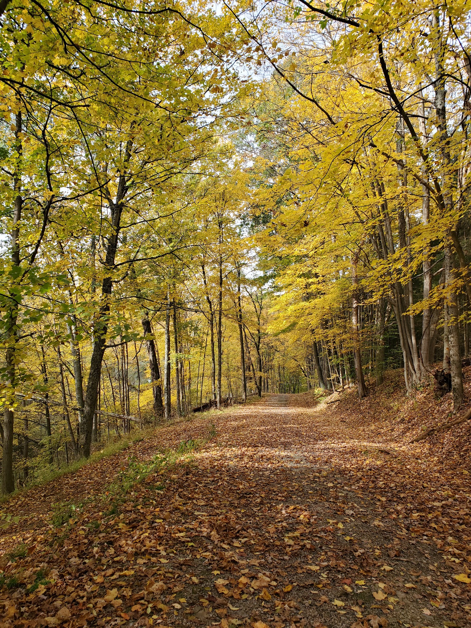 Mingo Park - Finleyville, PA