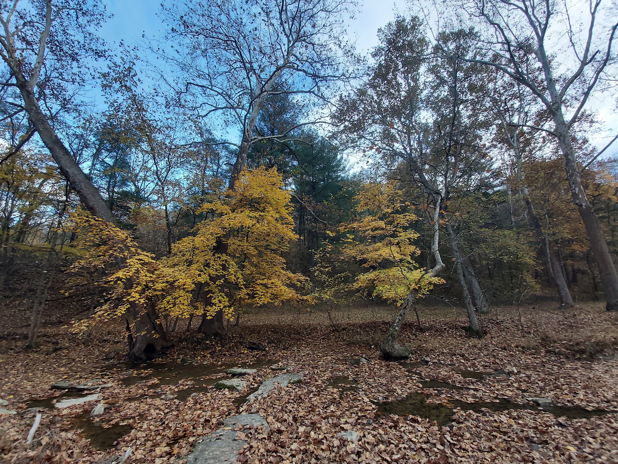 Mingo Park - Finleyville, PA