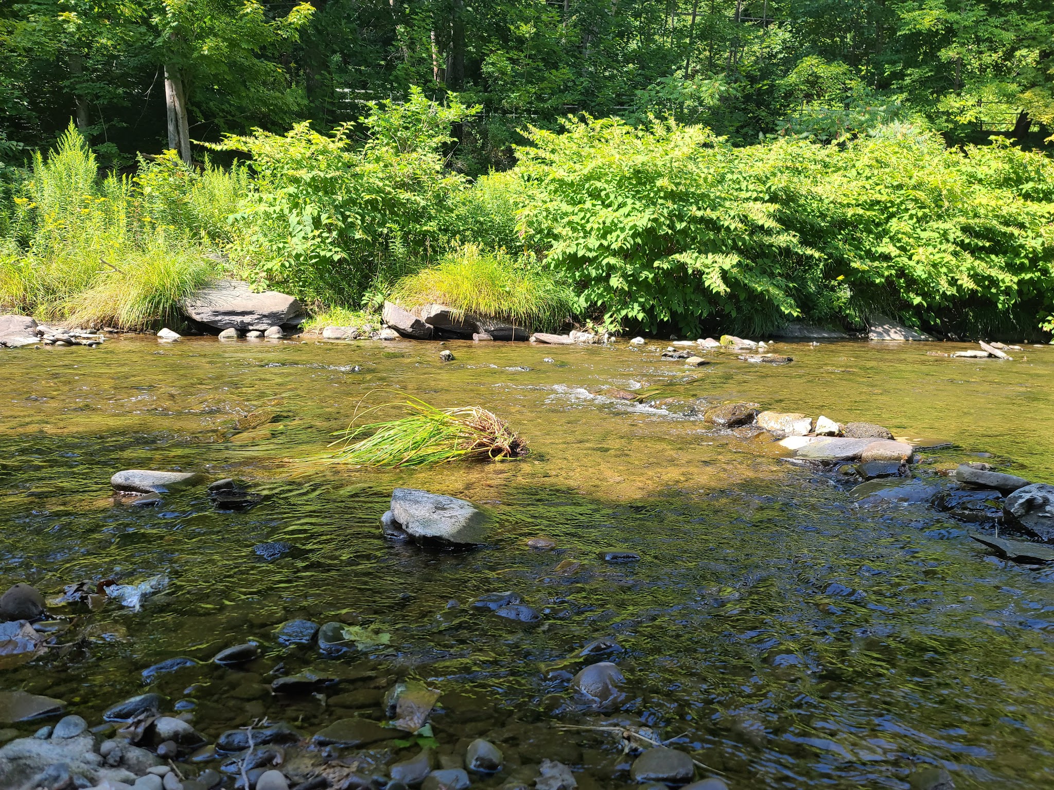 Fleischmanns Village Park - Fleischmanns, NY