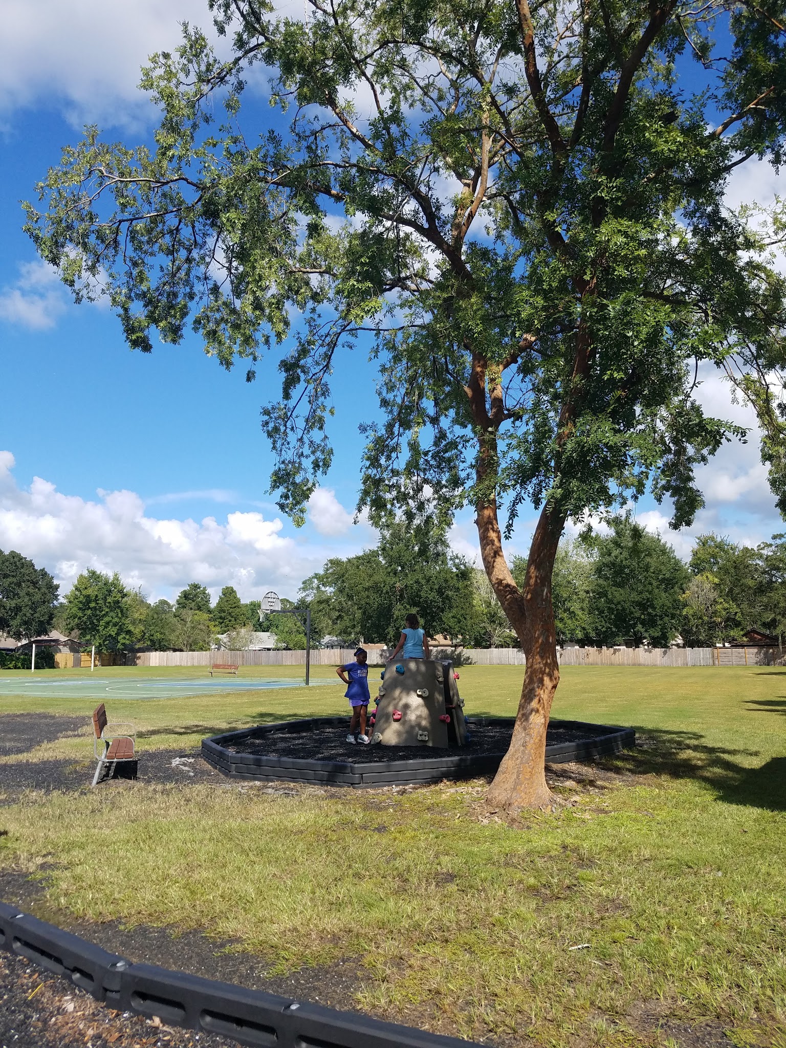 Island Forest Park - Fleming Island, FL