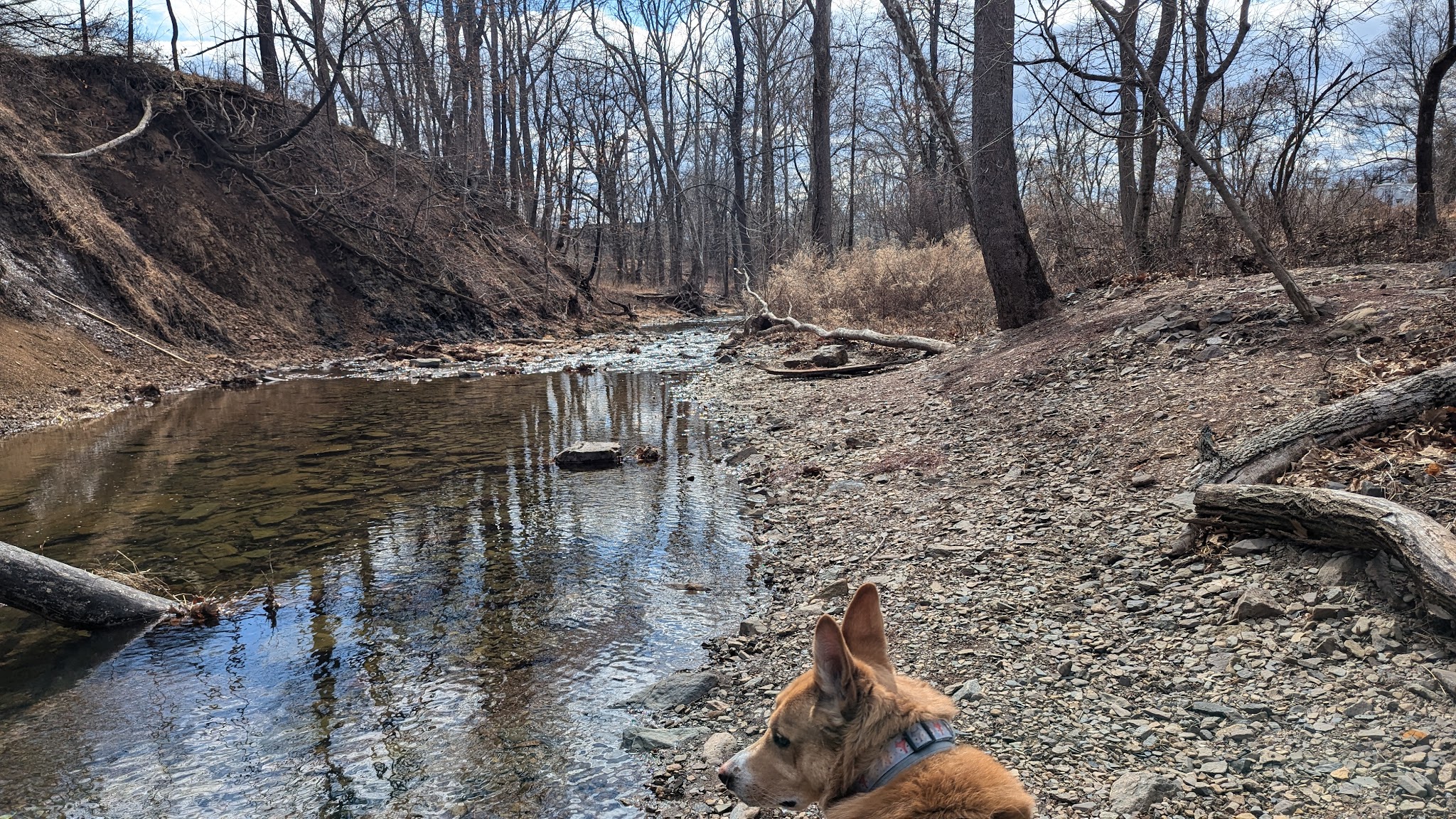 Bernadette Morales Nature Preserve - Flemington, NJ