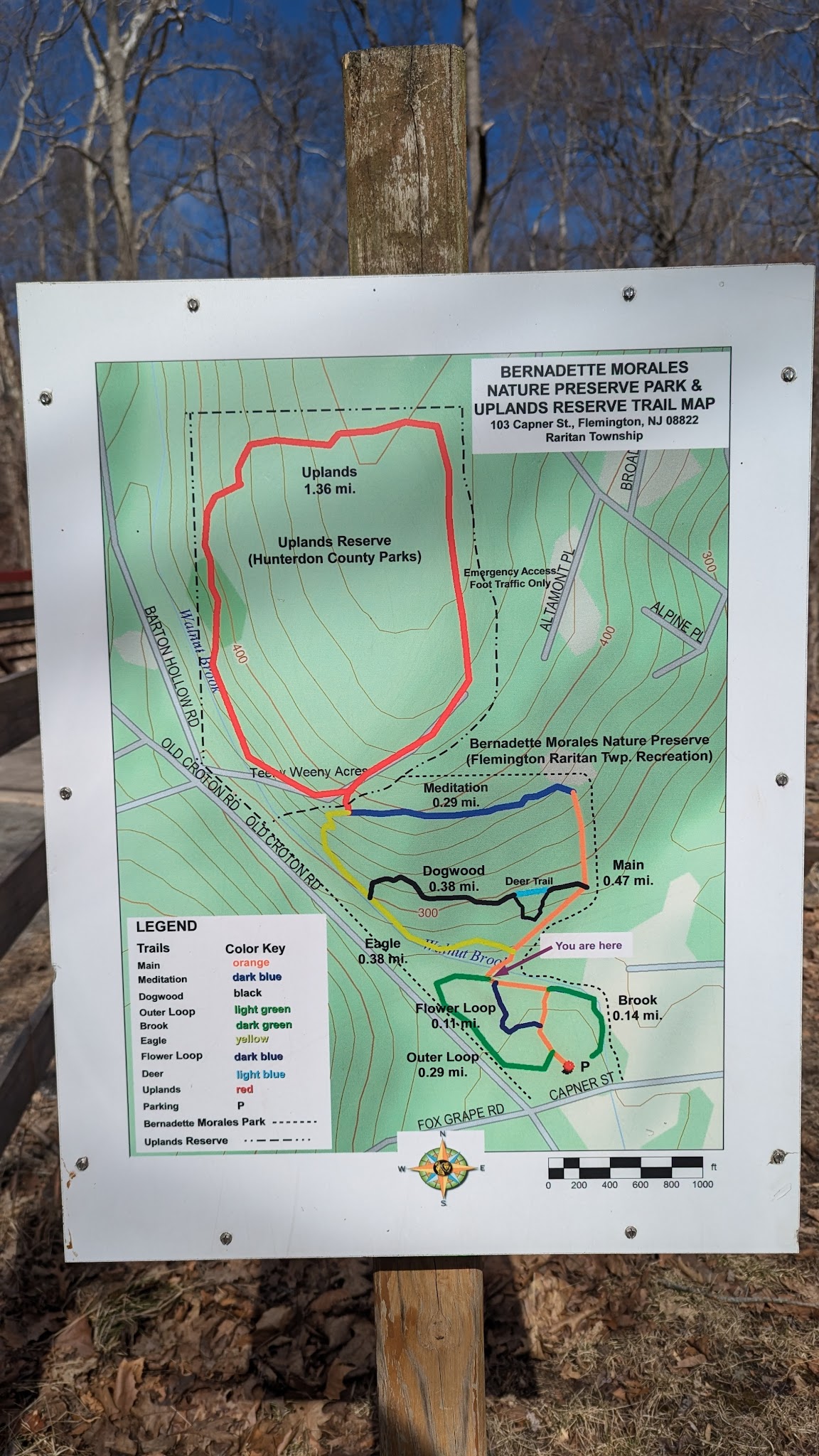 Bernadette Morales Nature Preserve - Flemington, NJ