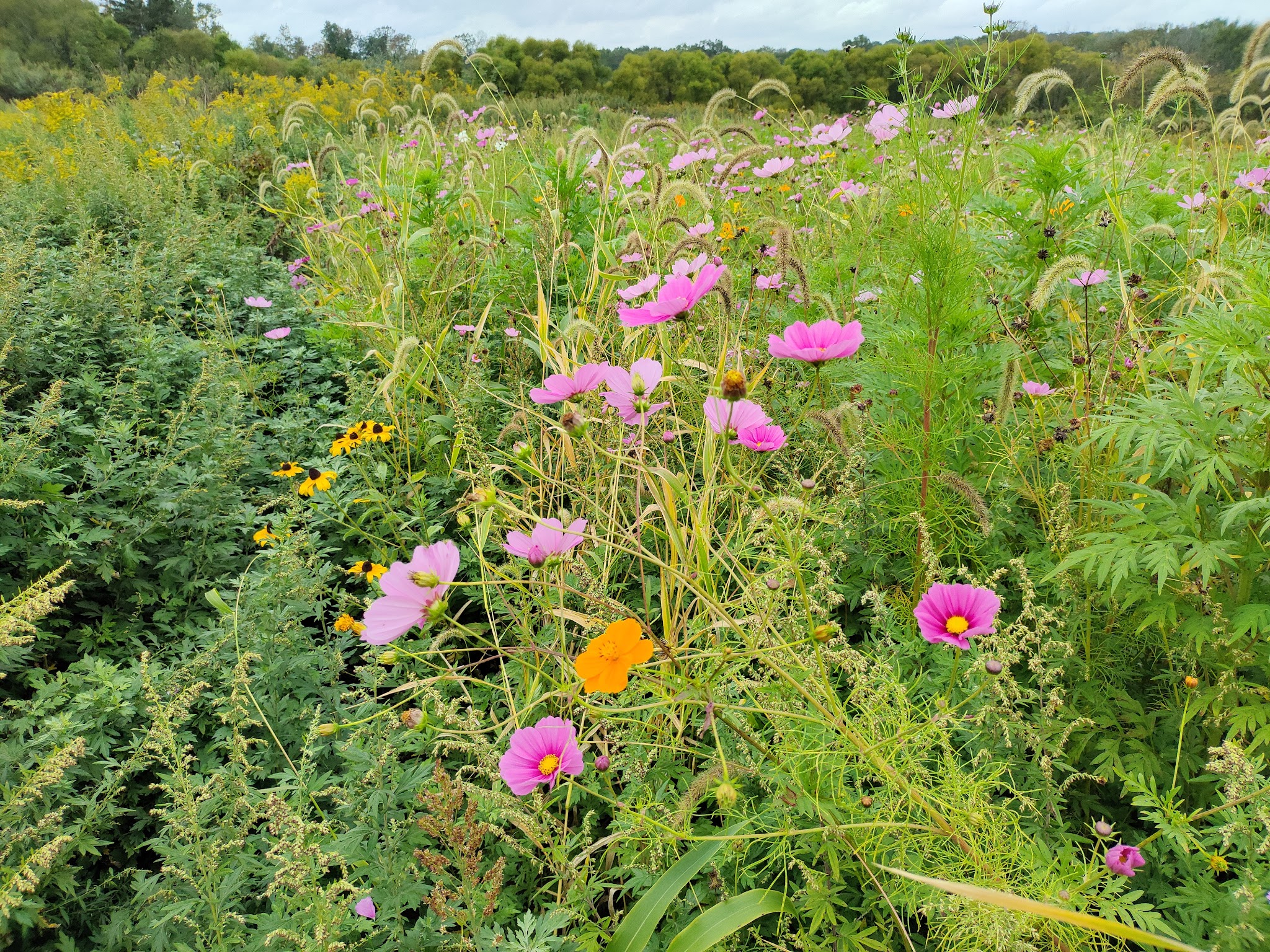Clover Hill Park (Hunterdon County Park System) - Flemington, NJ
