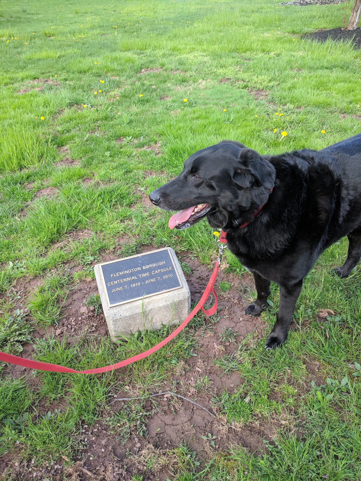 Flemington Borough Park - Flemington, NJ