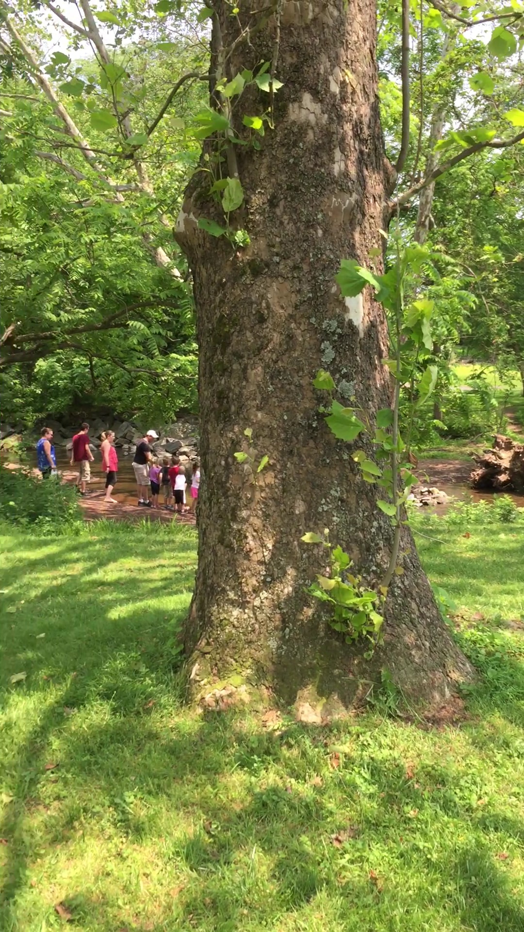 Mine Brook Park - Flemington, NJ