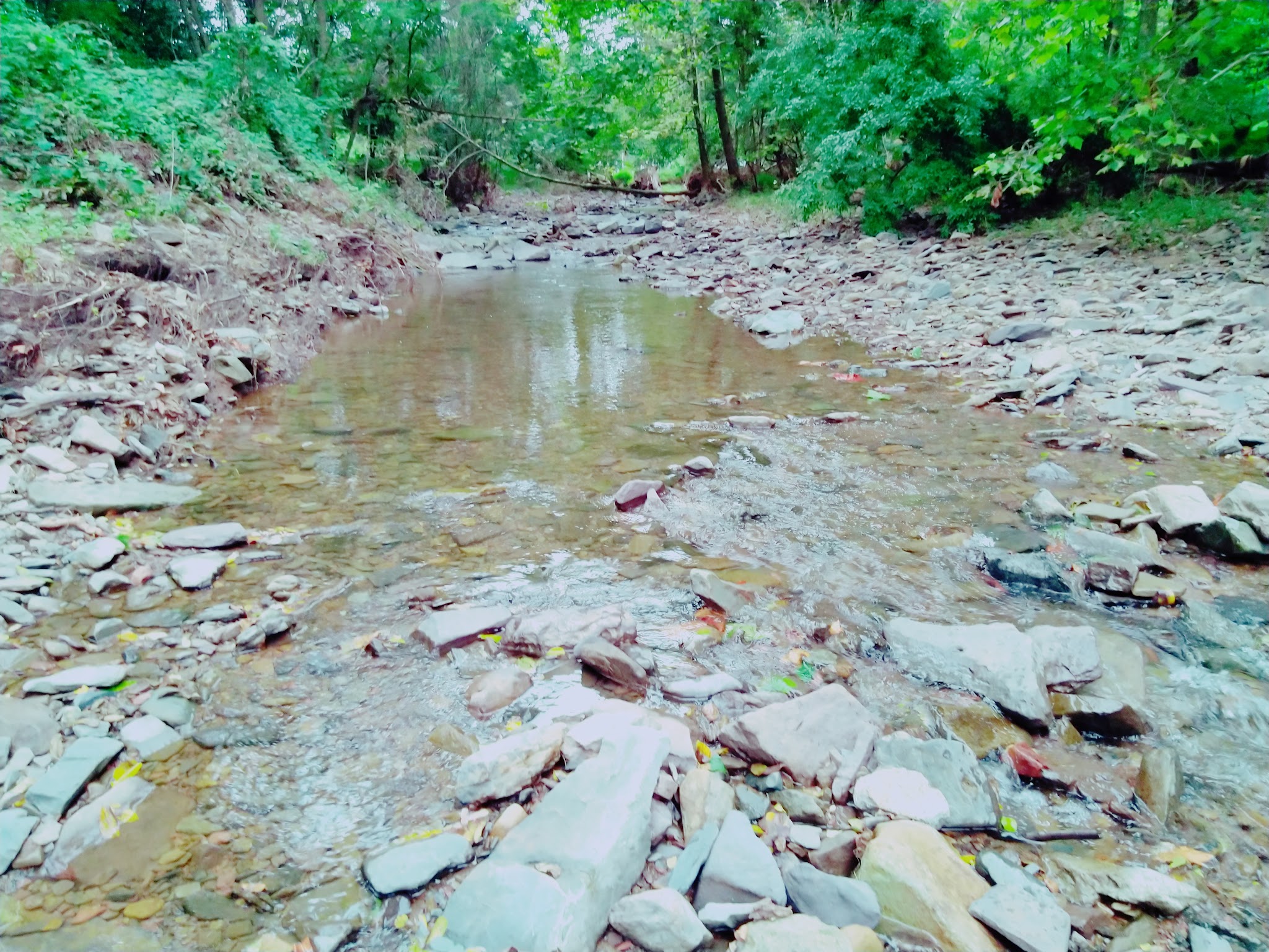 Mine Brook Park - Flemington, NJ