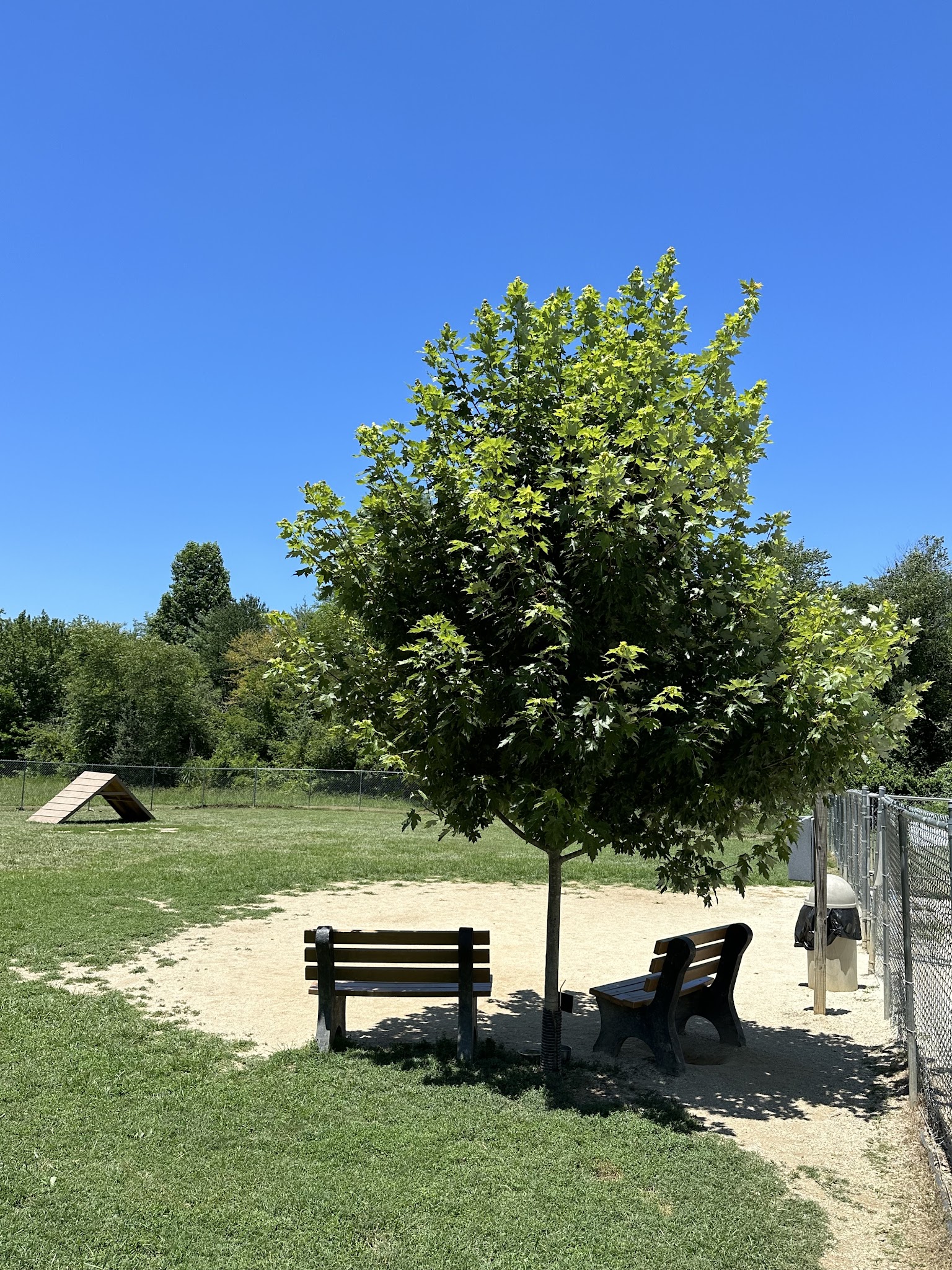 Fletcher Parks & Recreation Dog Park - Fletcher, NC