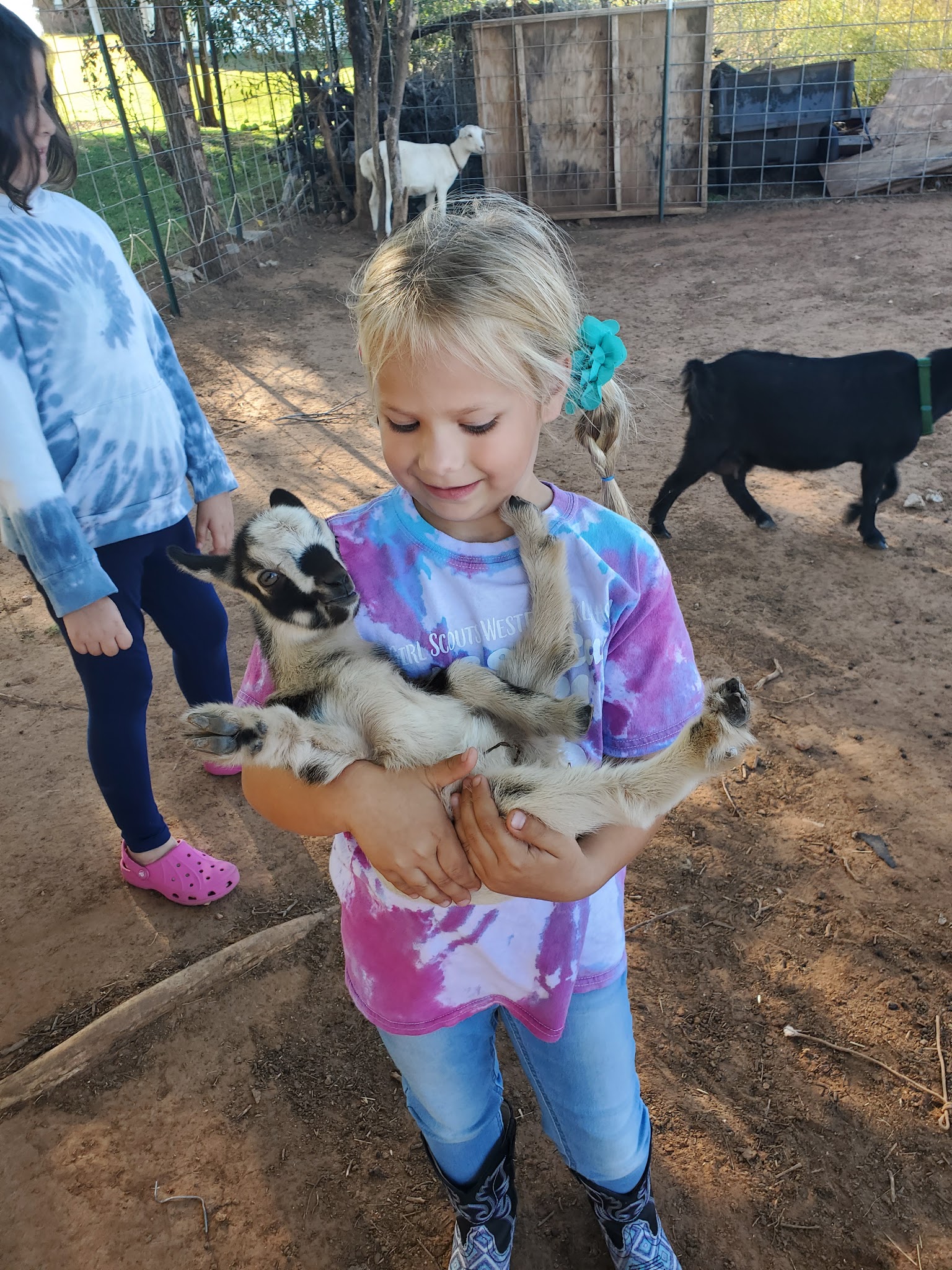 Black Dog Farm of Fletcher - Fletcher, OK