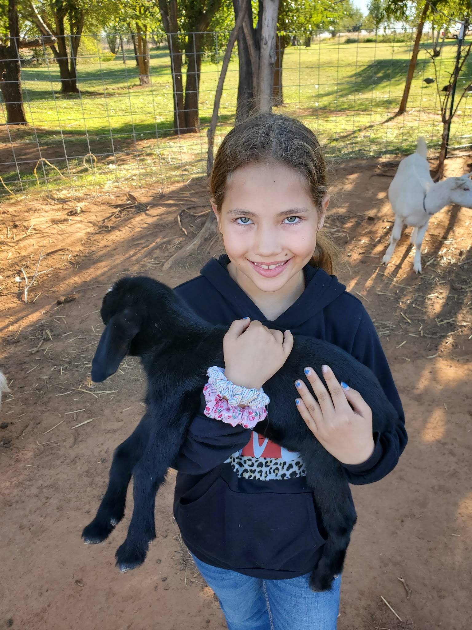 Black Dog Farm of Fletcher - Fletcher, OK