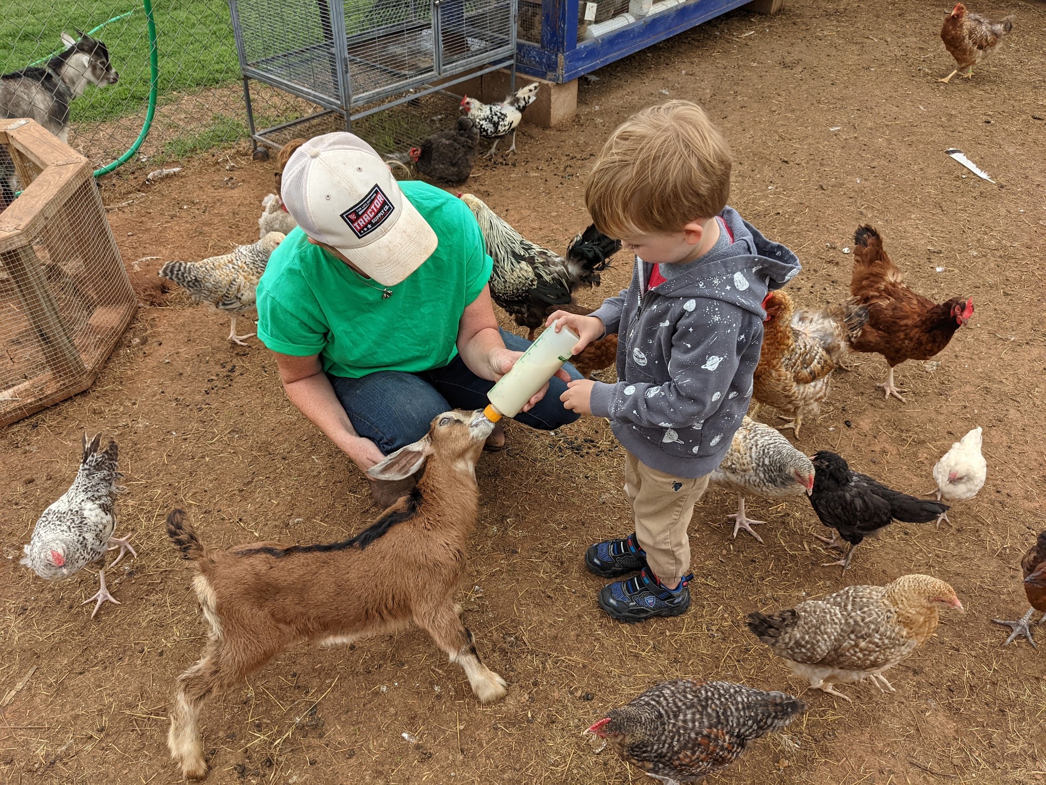 Black Dog Farm of Fletcher - Fletcher, OK