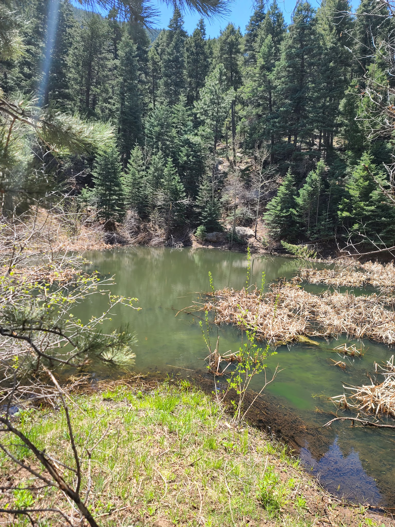 Florence Mountain Park - Florence, CO