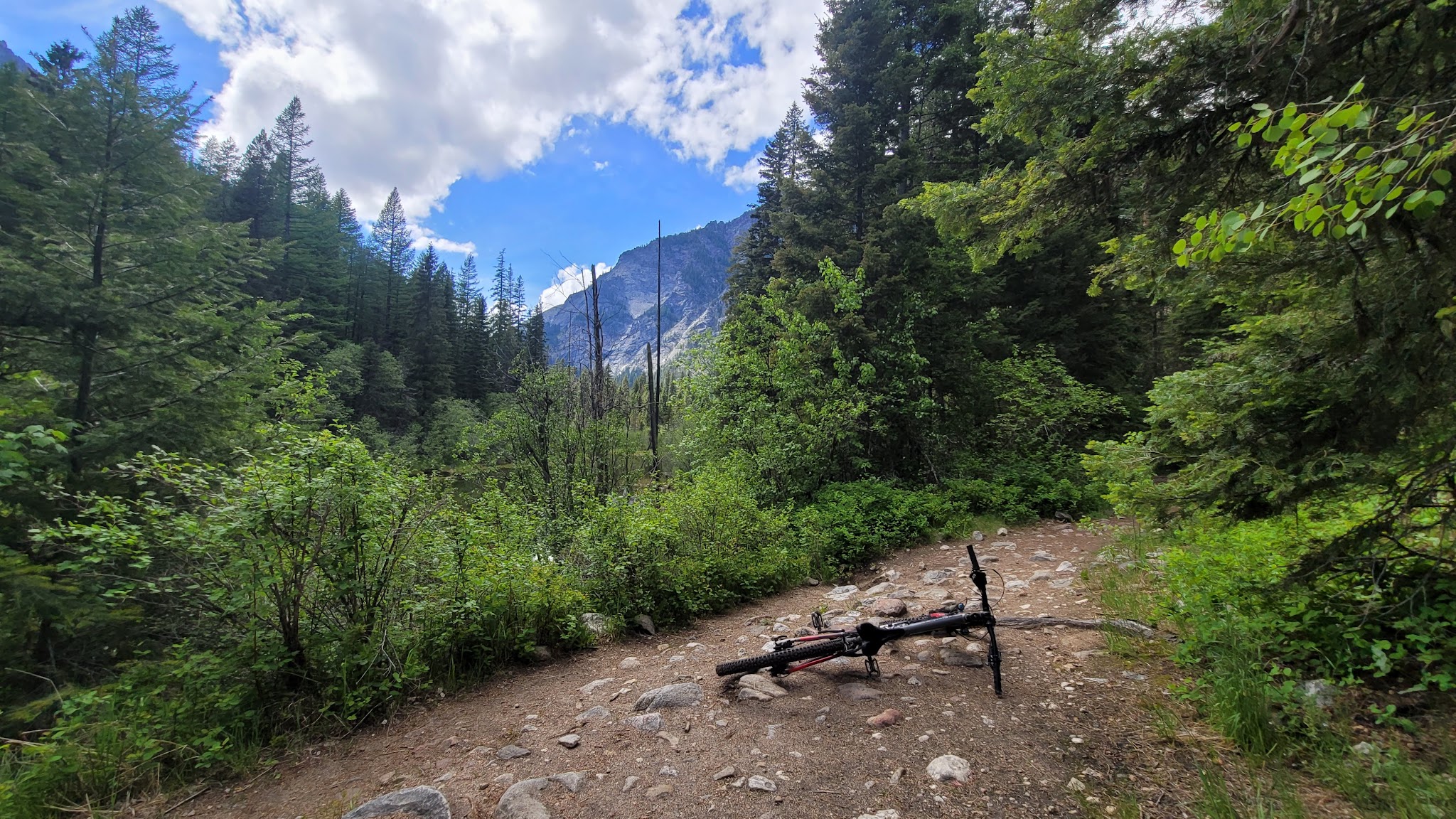 Log Pond On Bass Creek - Florence, MT