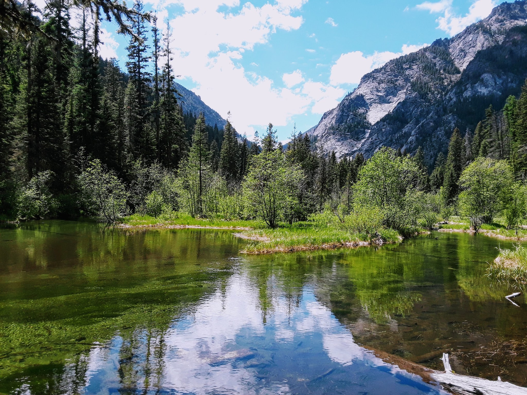 Log Pond On Bass Creek - Florence, MT