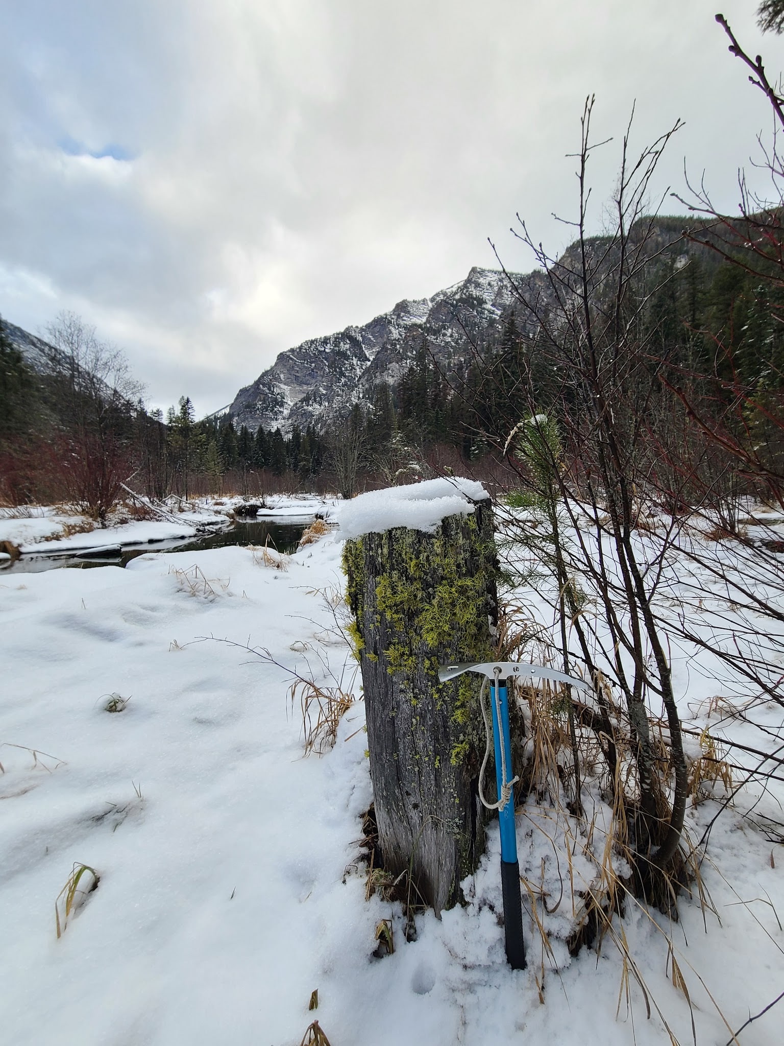 Log Pond On Bass Creek - Florence, MT