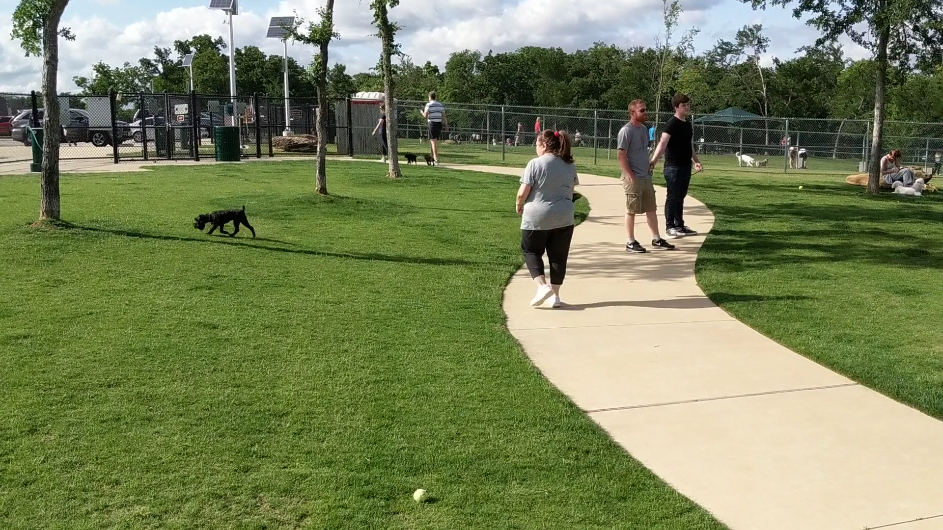 Hound Mound Dog Park - Flower Mound, TX