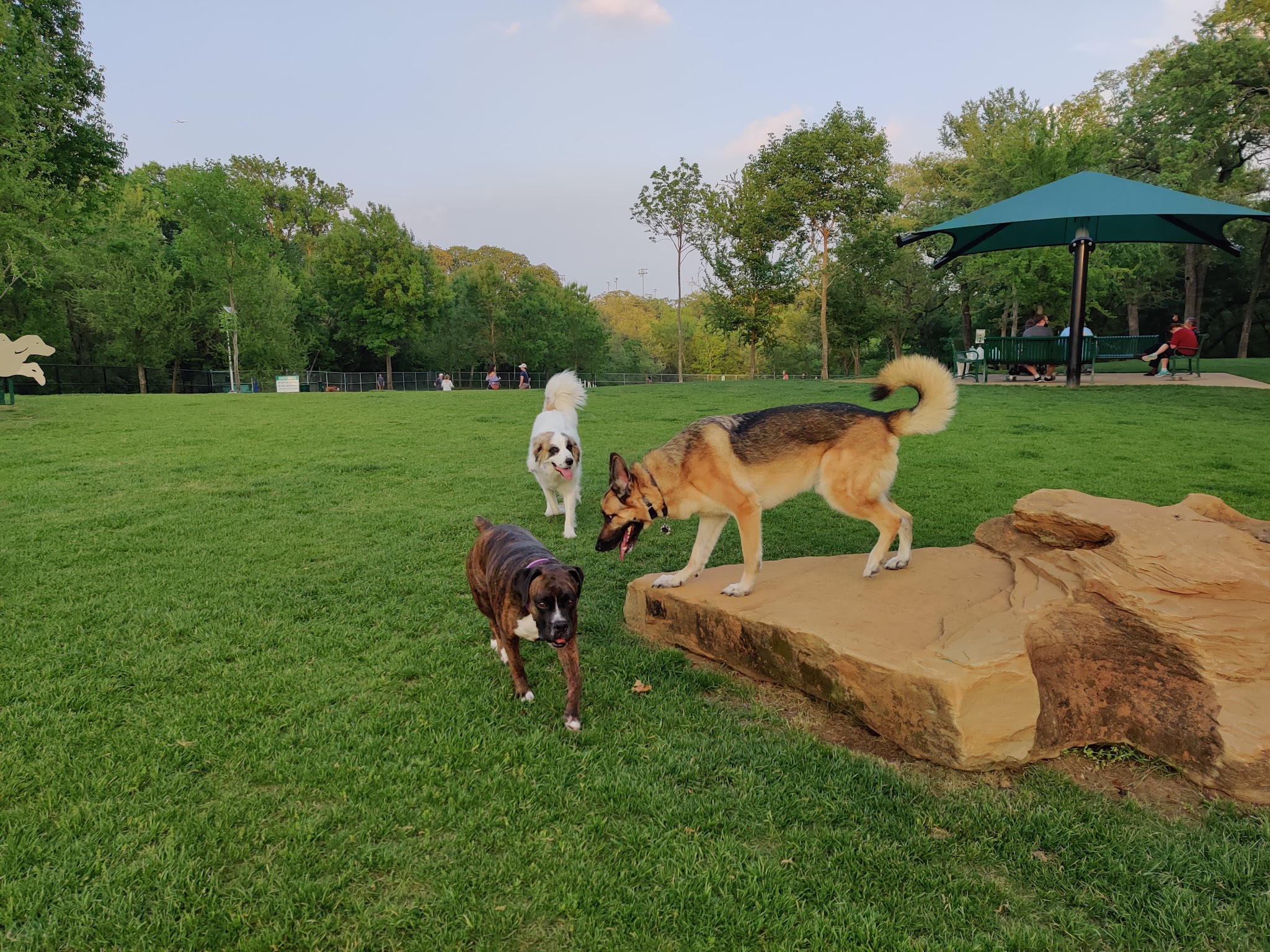 Hound Mound Dog Park - Flower Mound, TX