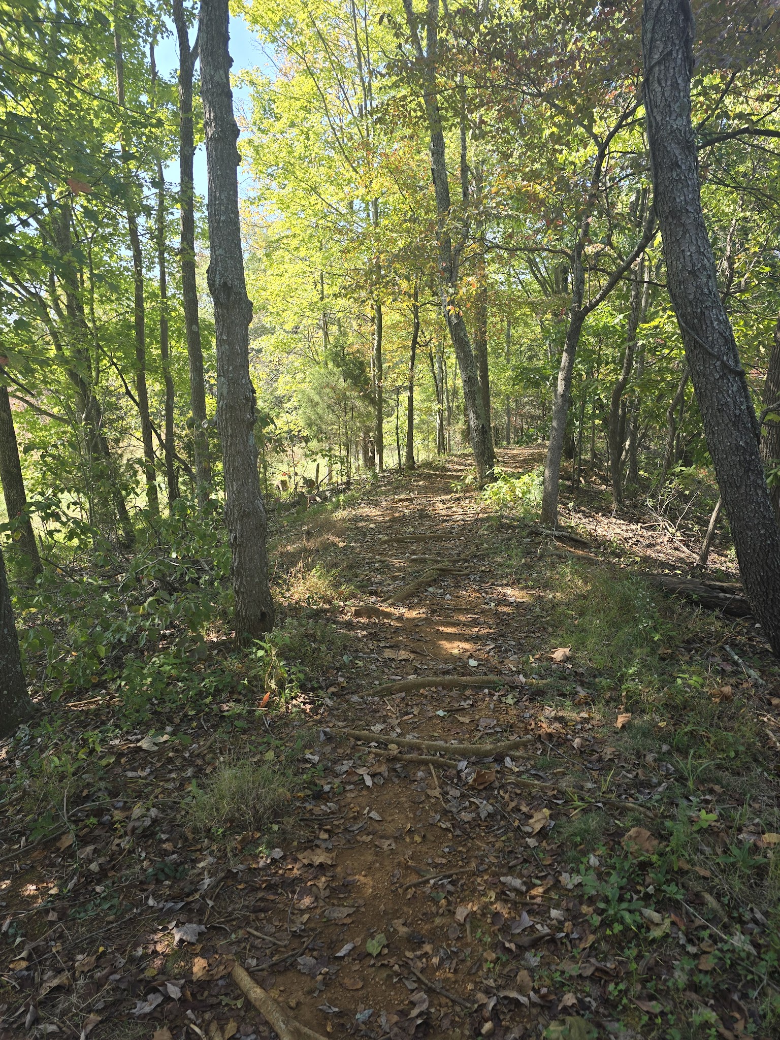 Mt. St. Francis Trailhead - Floyds Knobs, IN