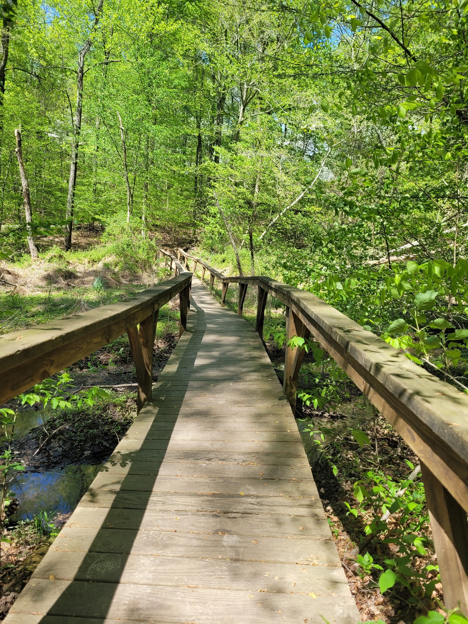 Mt. St. Francis Trailhead - Floyds Knobs, IN