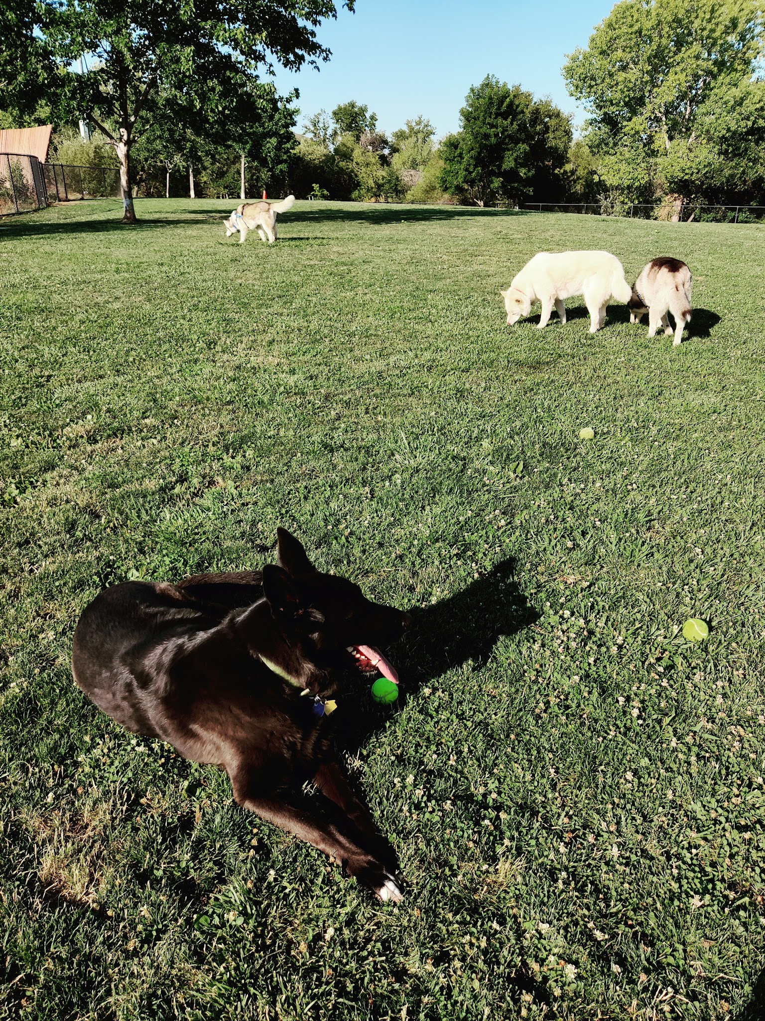 FIDO Field - Folsom, CA