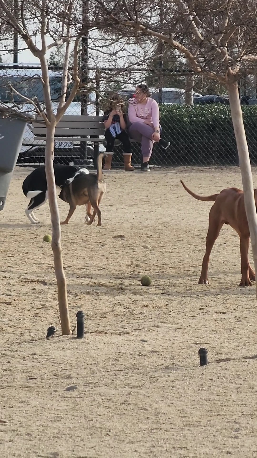 FIDO Field - Folsom, CA