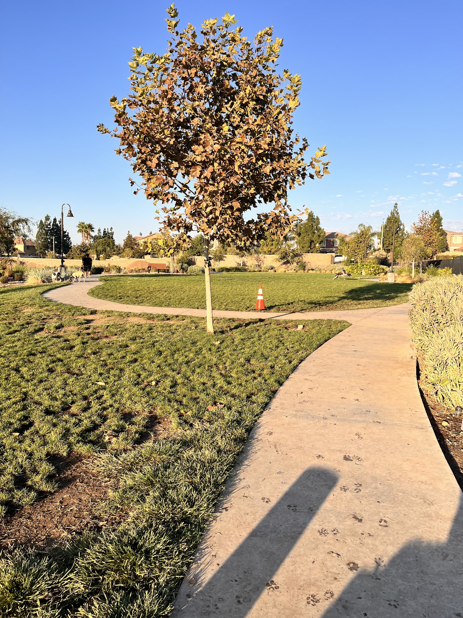 Gabion Ranch Dog Park - Fontana, CA