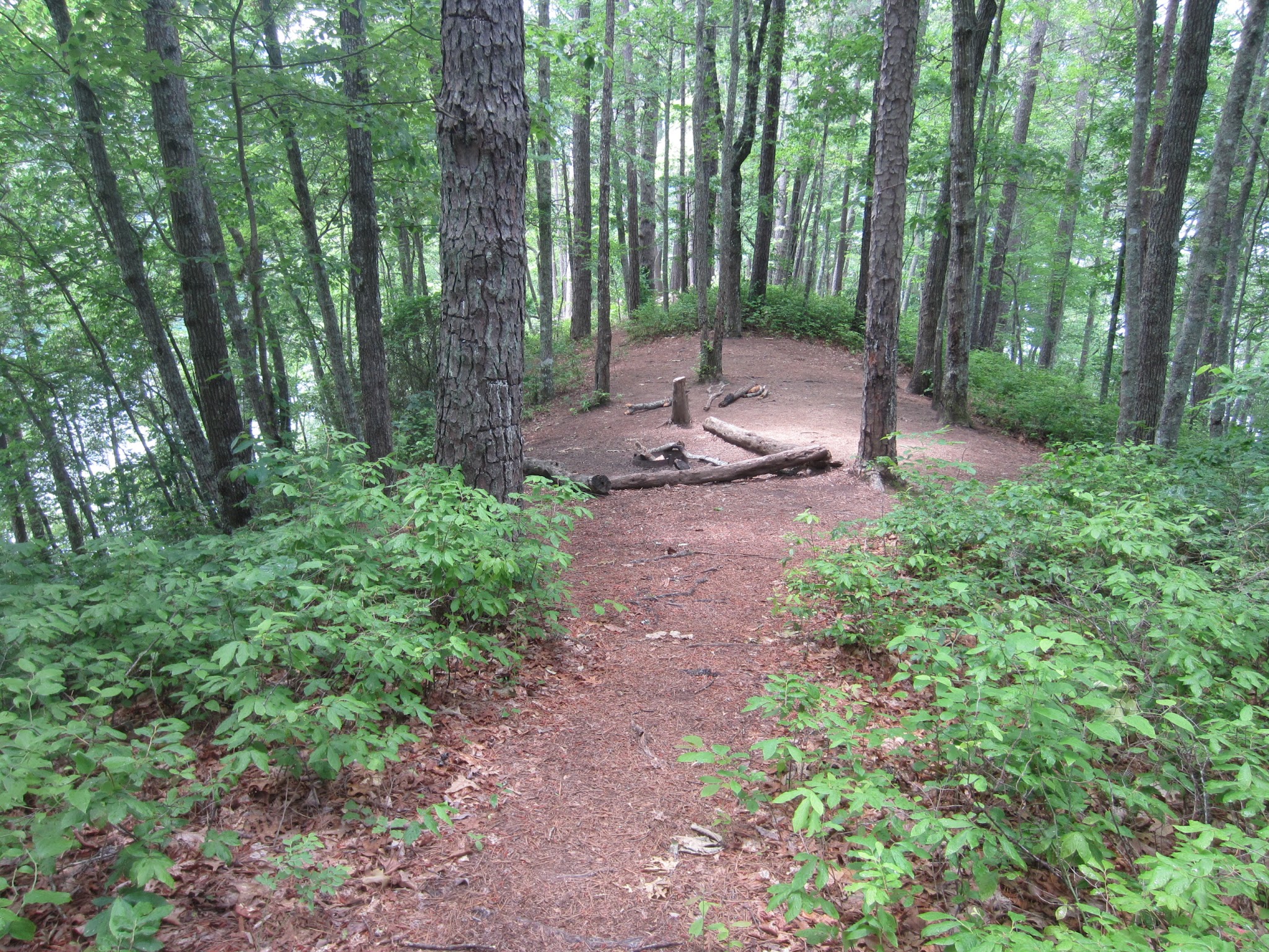 Backcountry Campsite #87 - Fontana Dam, NC