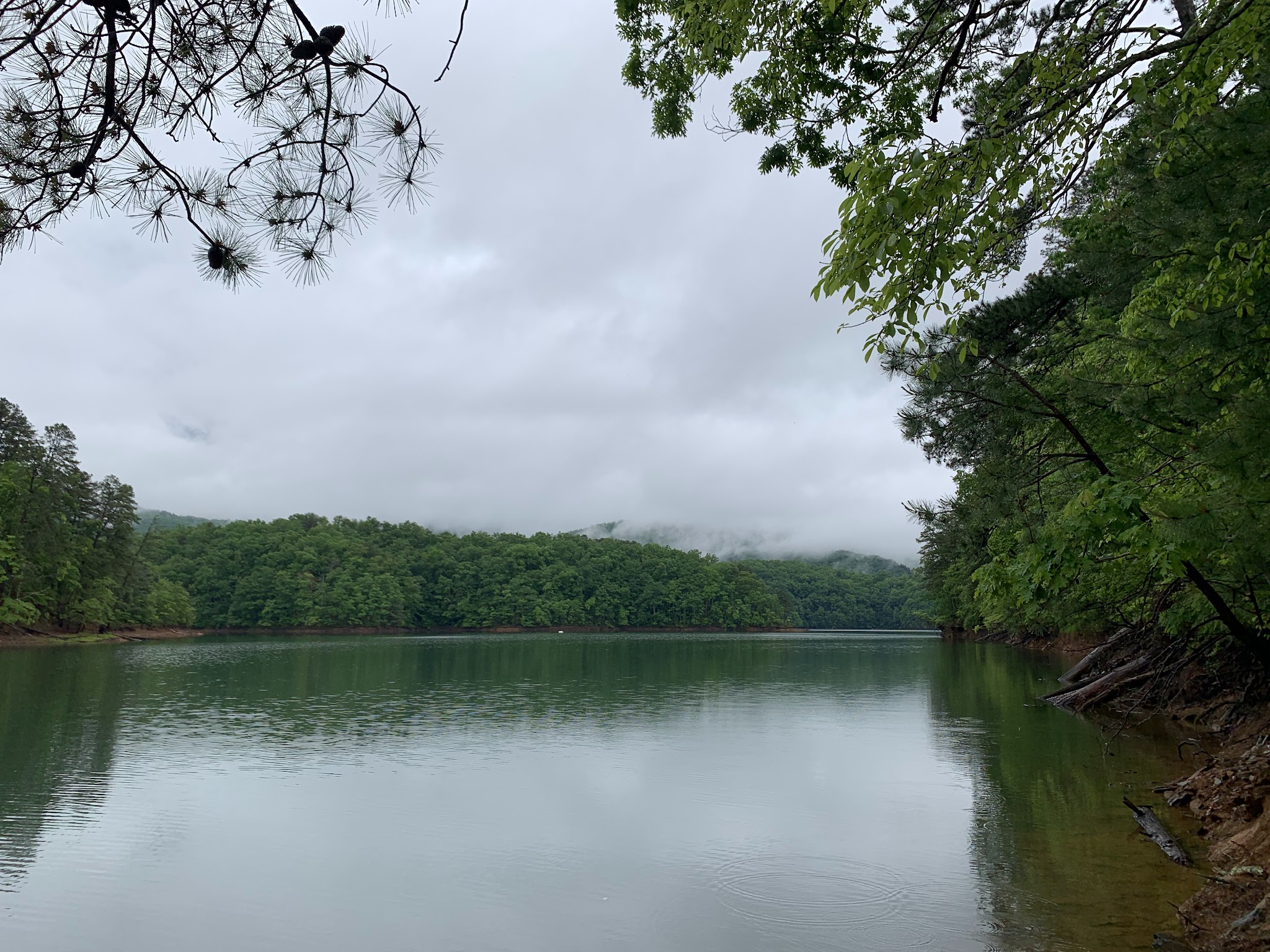 Backcountry Campsite #87 - Fontana Dam, NC