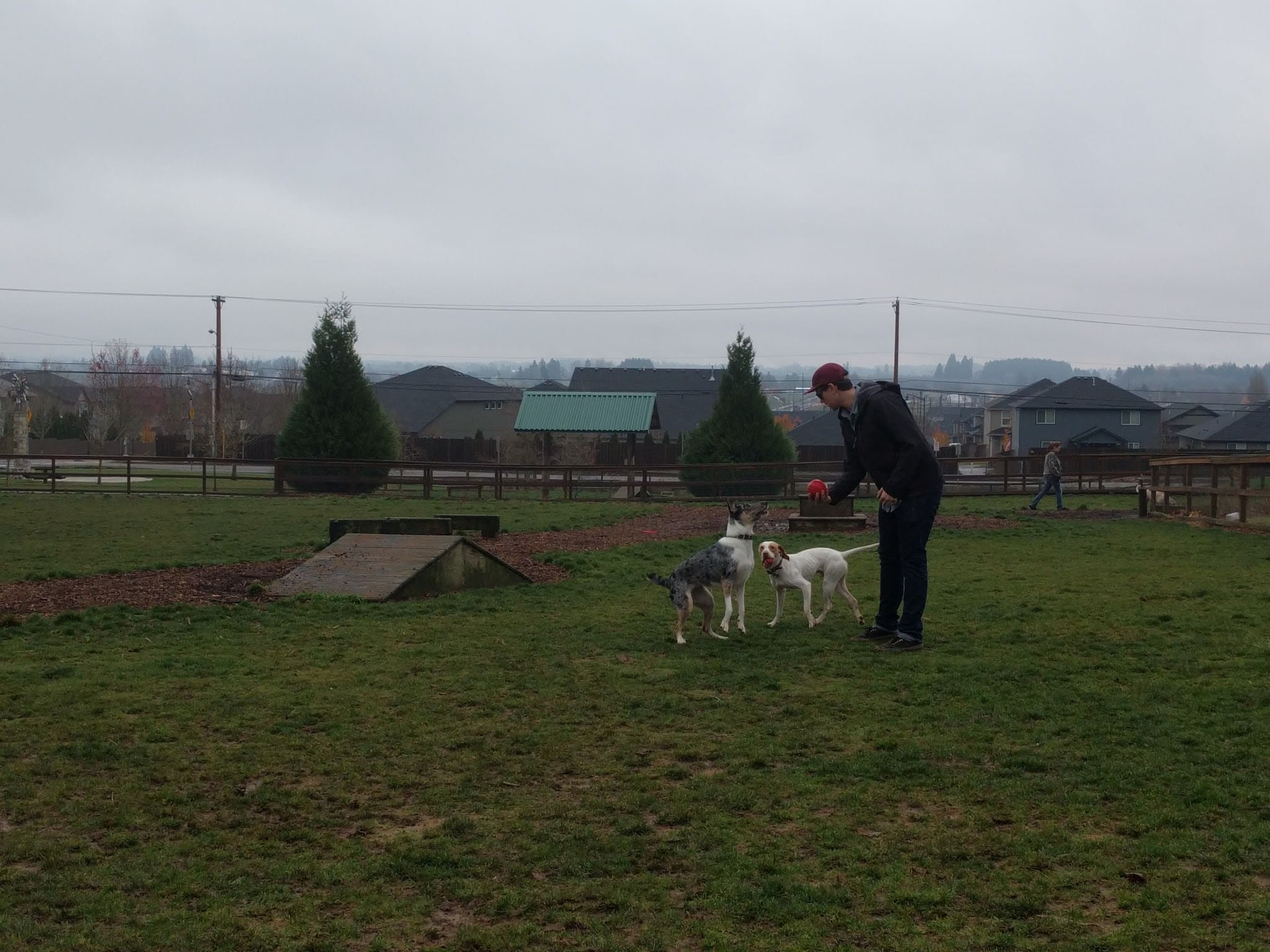Thatcher Dog Park - Forest Grove, OR